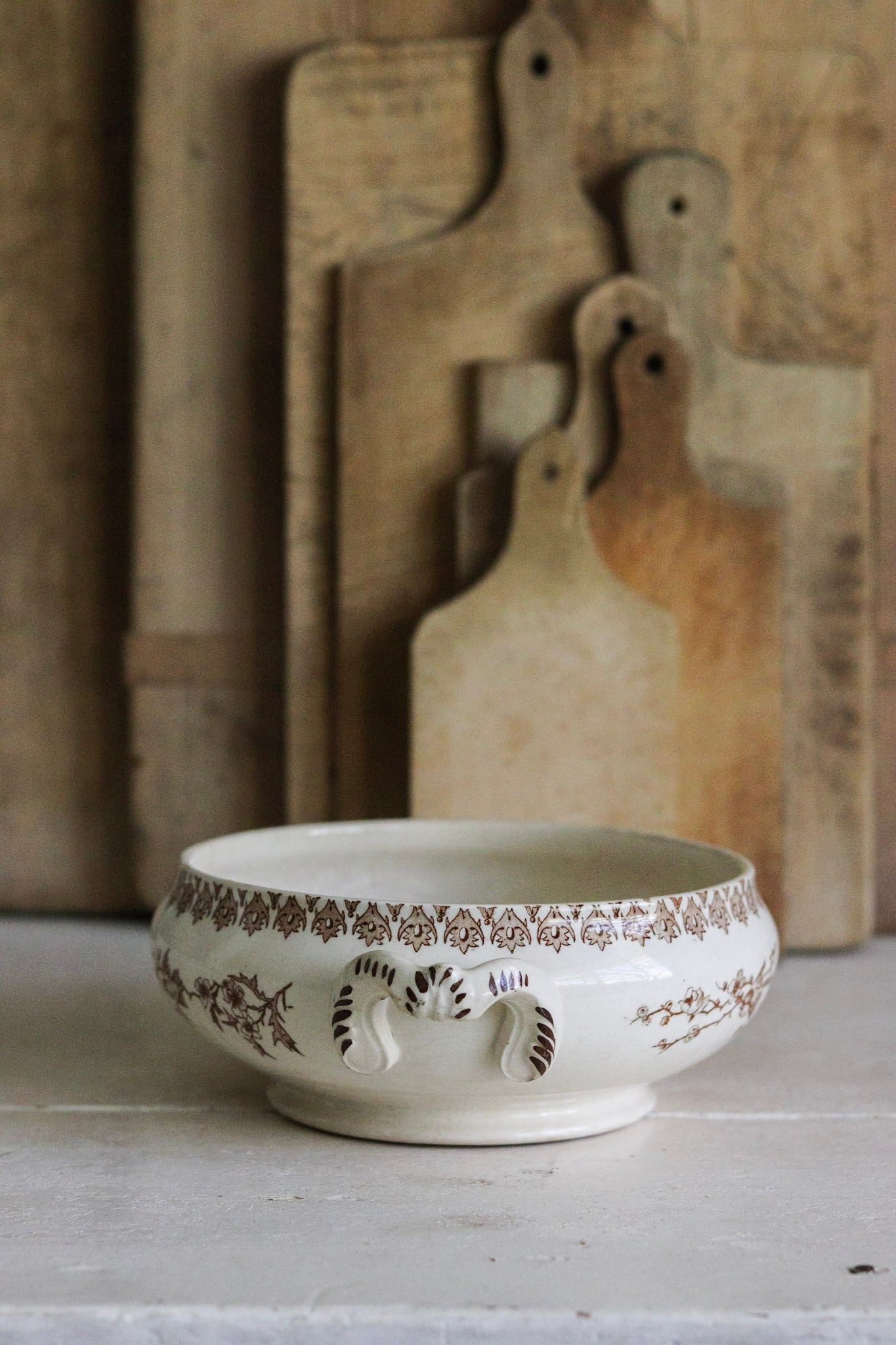 Antique French Transferware Tureen with Birds