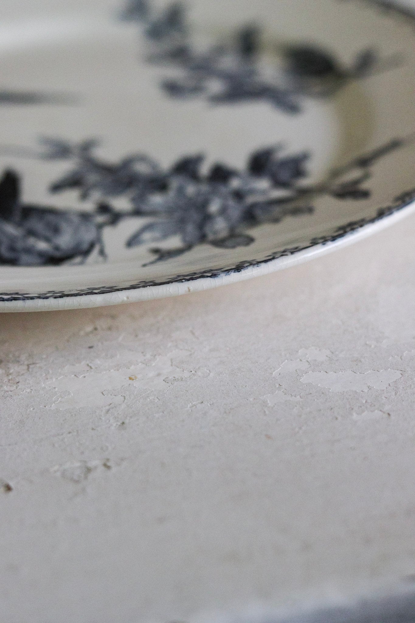 Antique French Transferware Plate with Birds