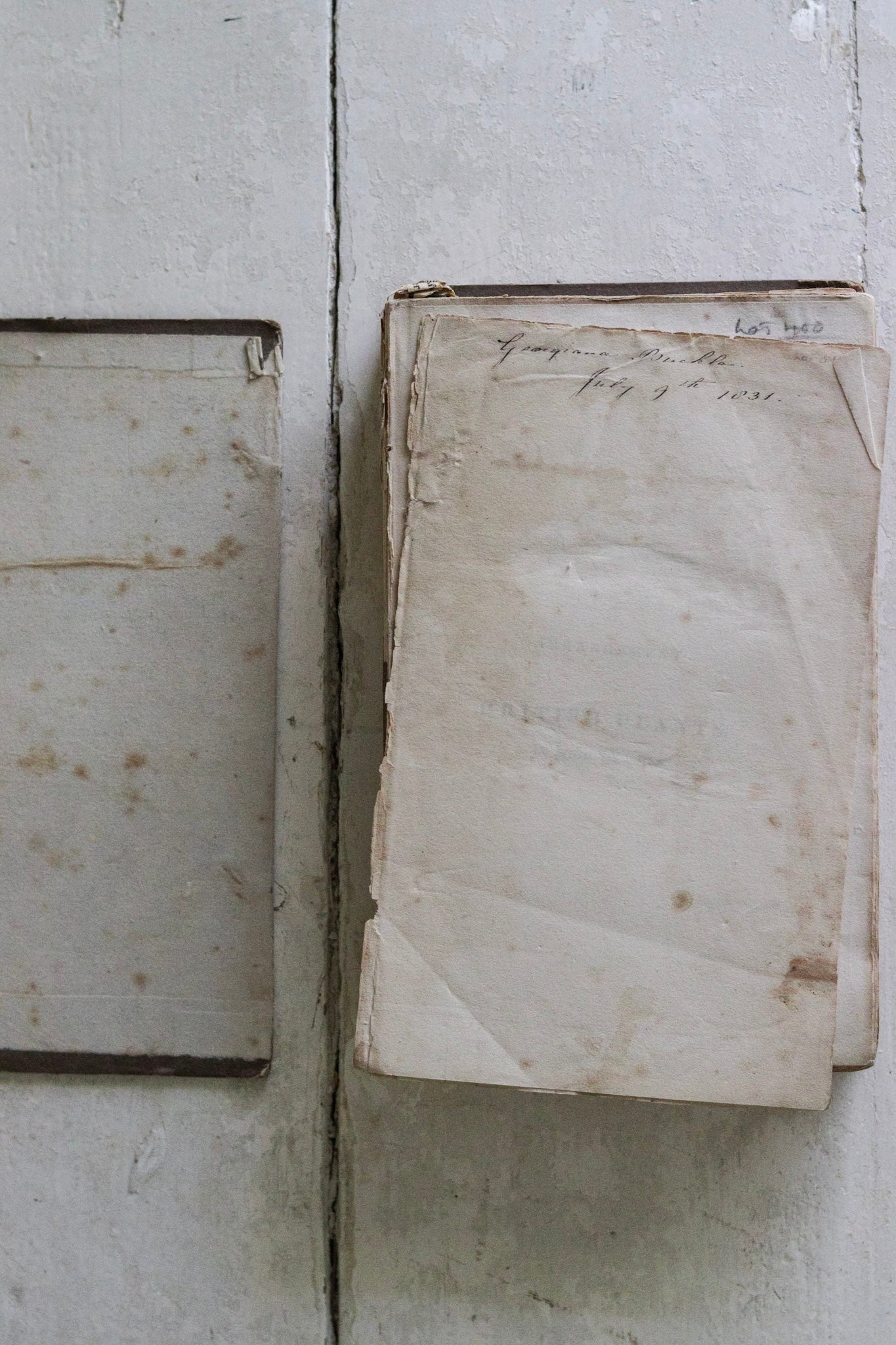 Antique British Botany Book - 1830