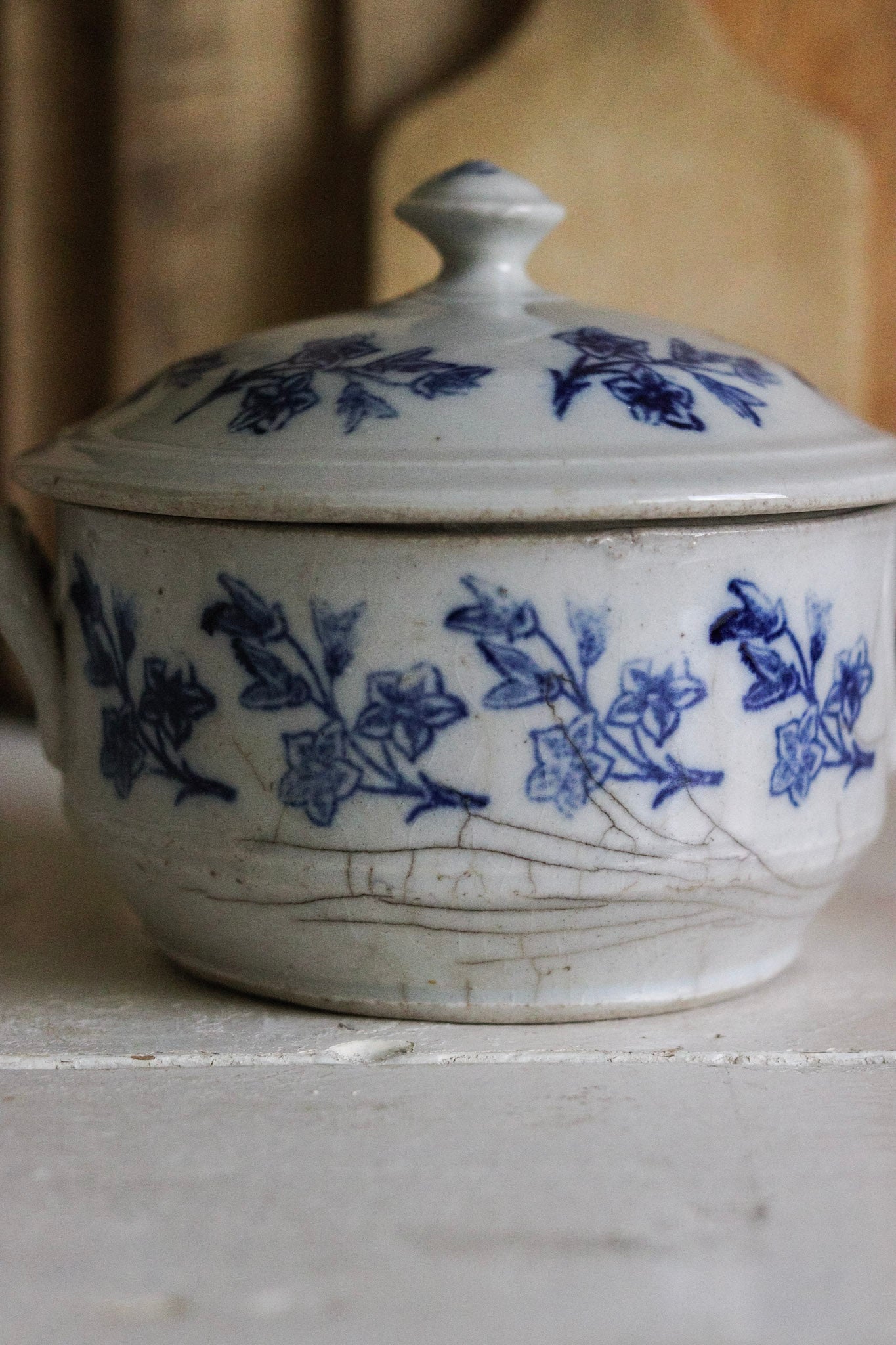 Petite Vintage French Saint Uze Tureen