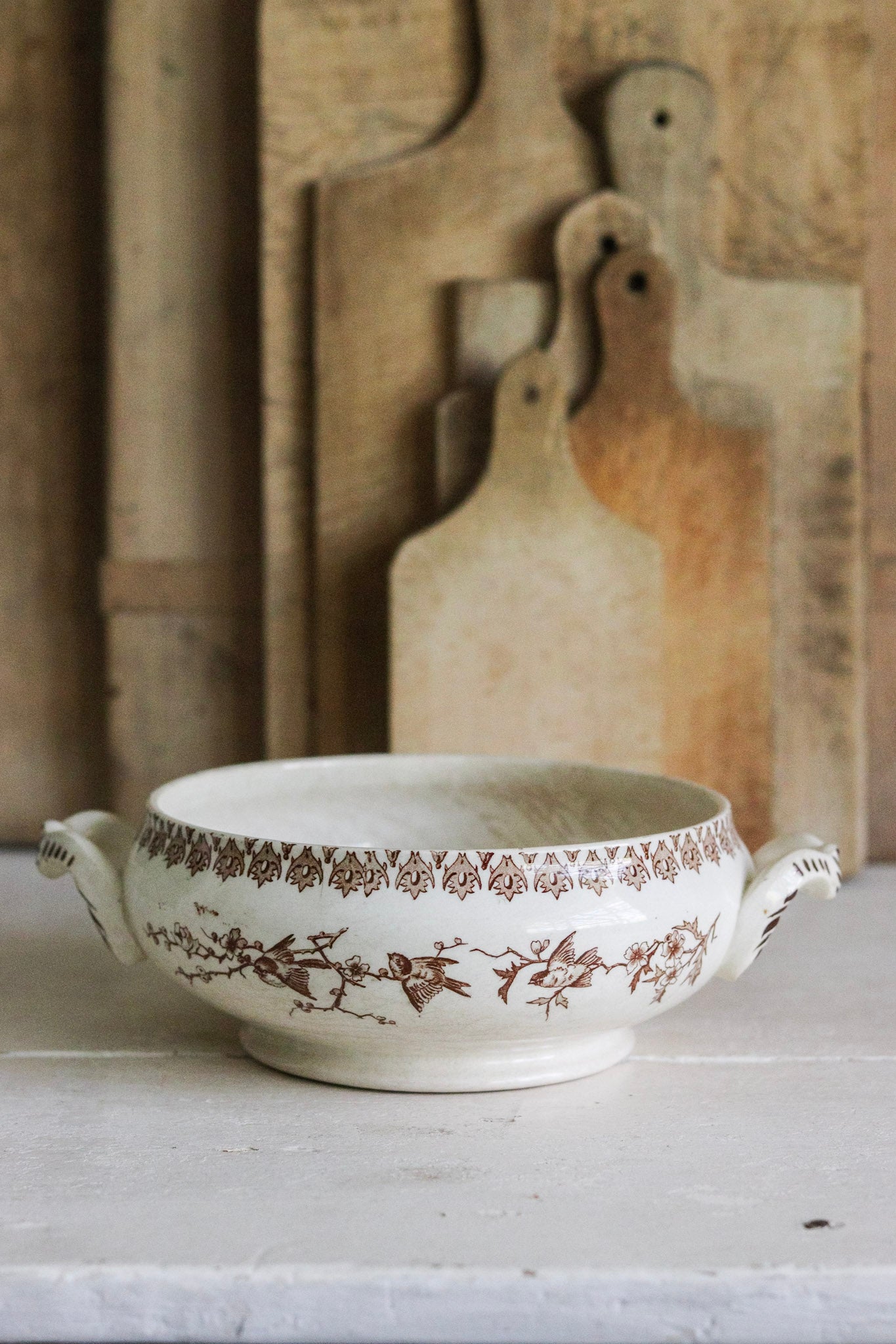 Antique French Transferware Tureen with Birds