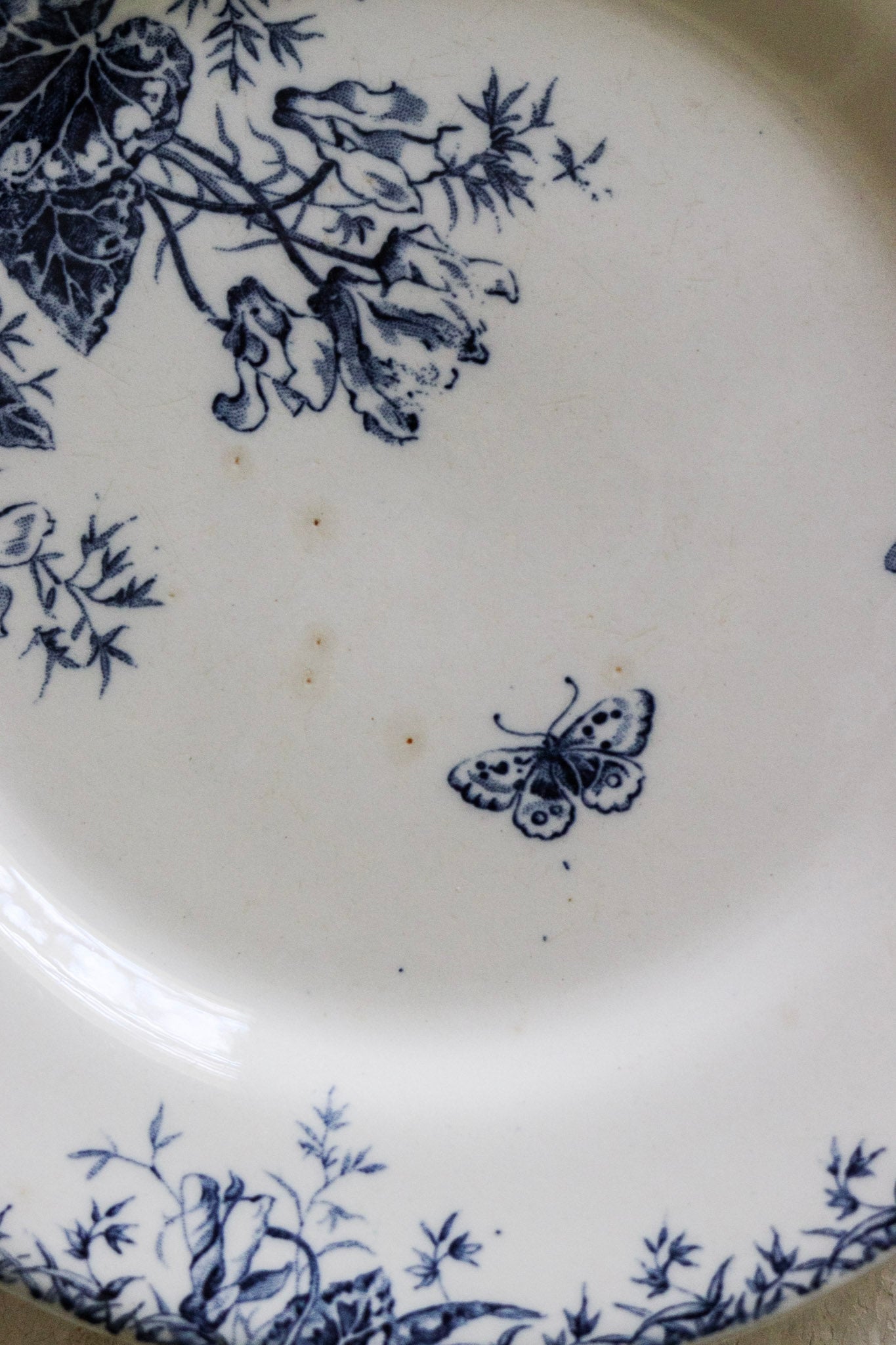Antique French Transferware Plate with Butterfly and Flowers