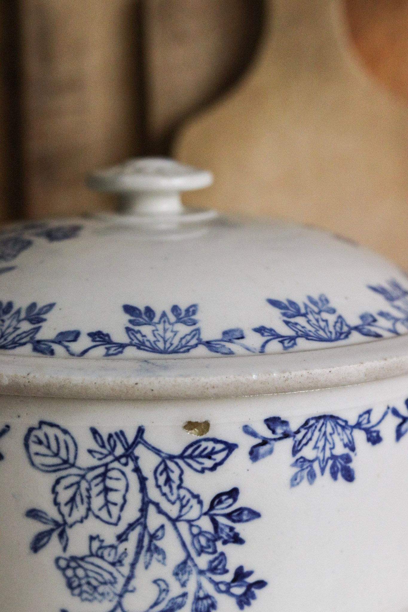 Vintage French Saint Uze Tureen with Flowers
