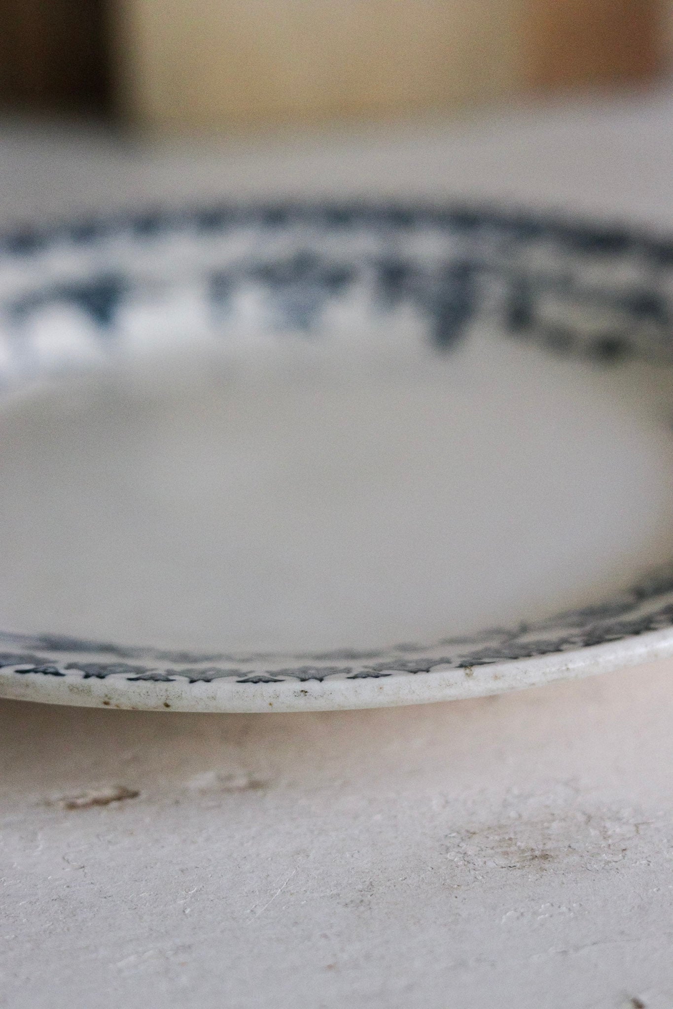 Antique French Transferware Plate with Birds