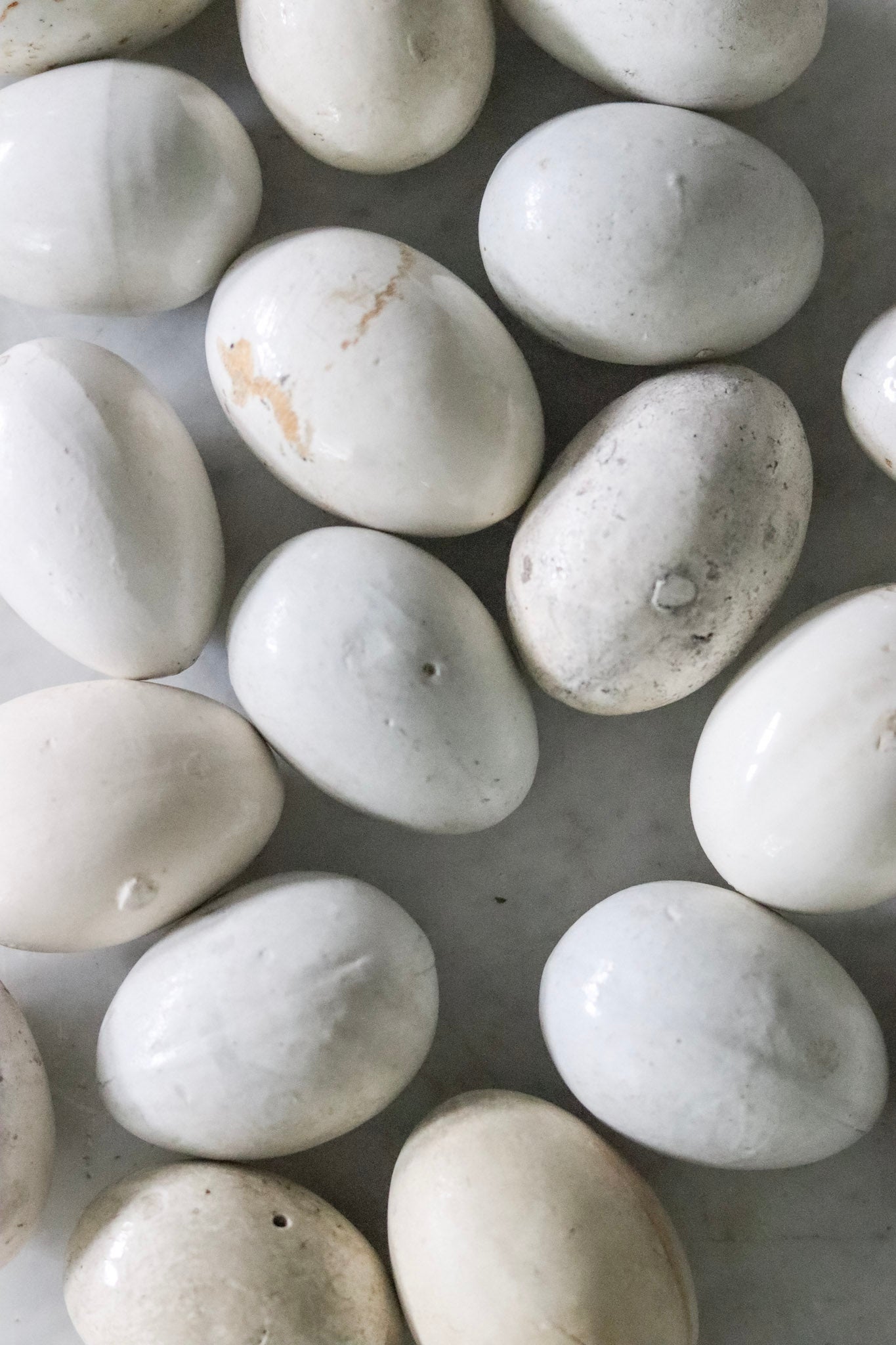 English Broody Hen Egg