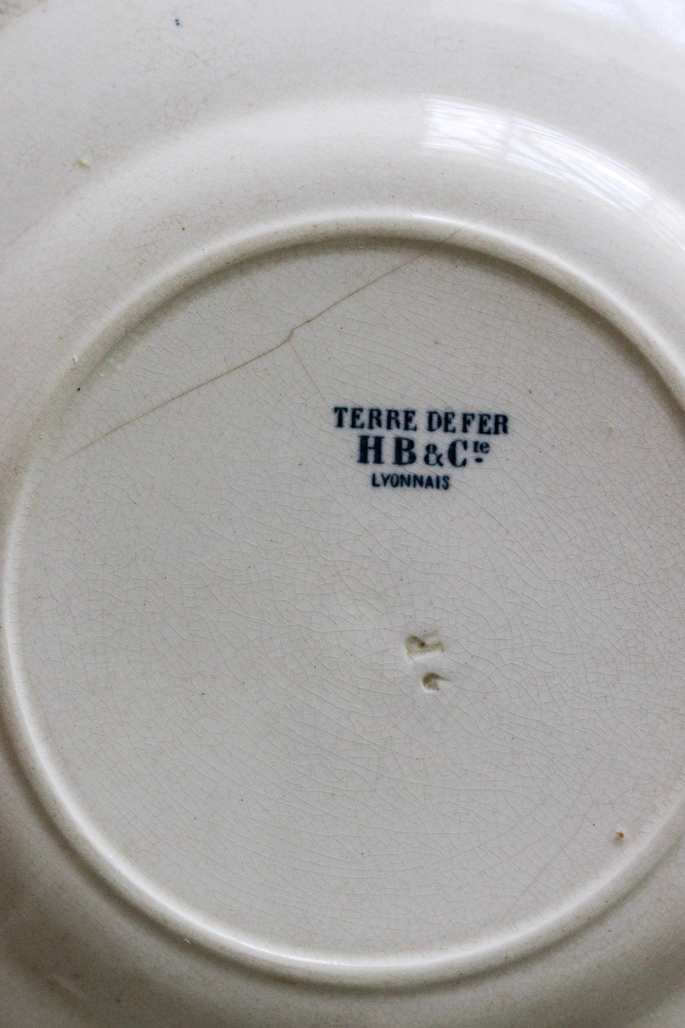 Antique French Transferware Plate with Birds