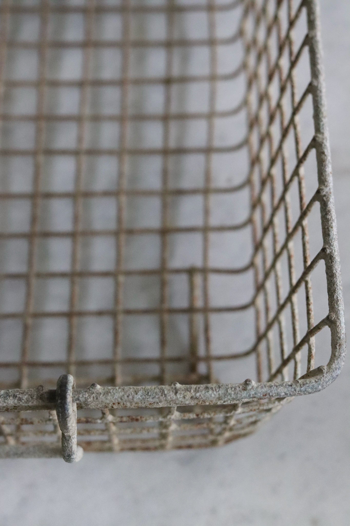 Vintage French Oyster Basket