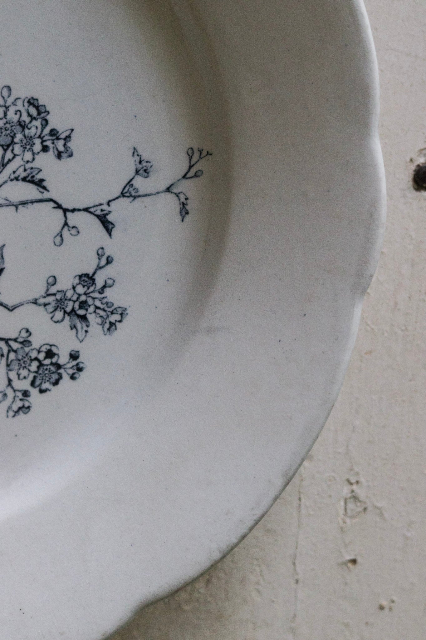 Antique French Transferware Plate with Birds