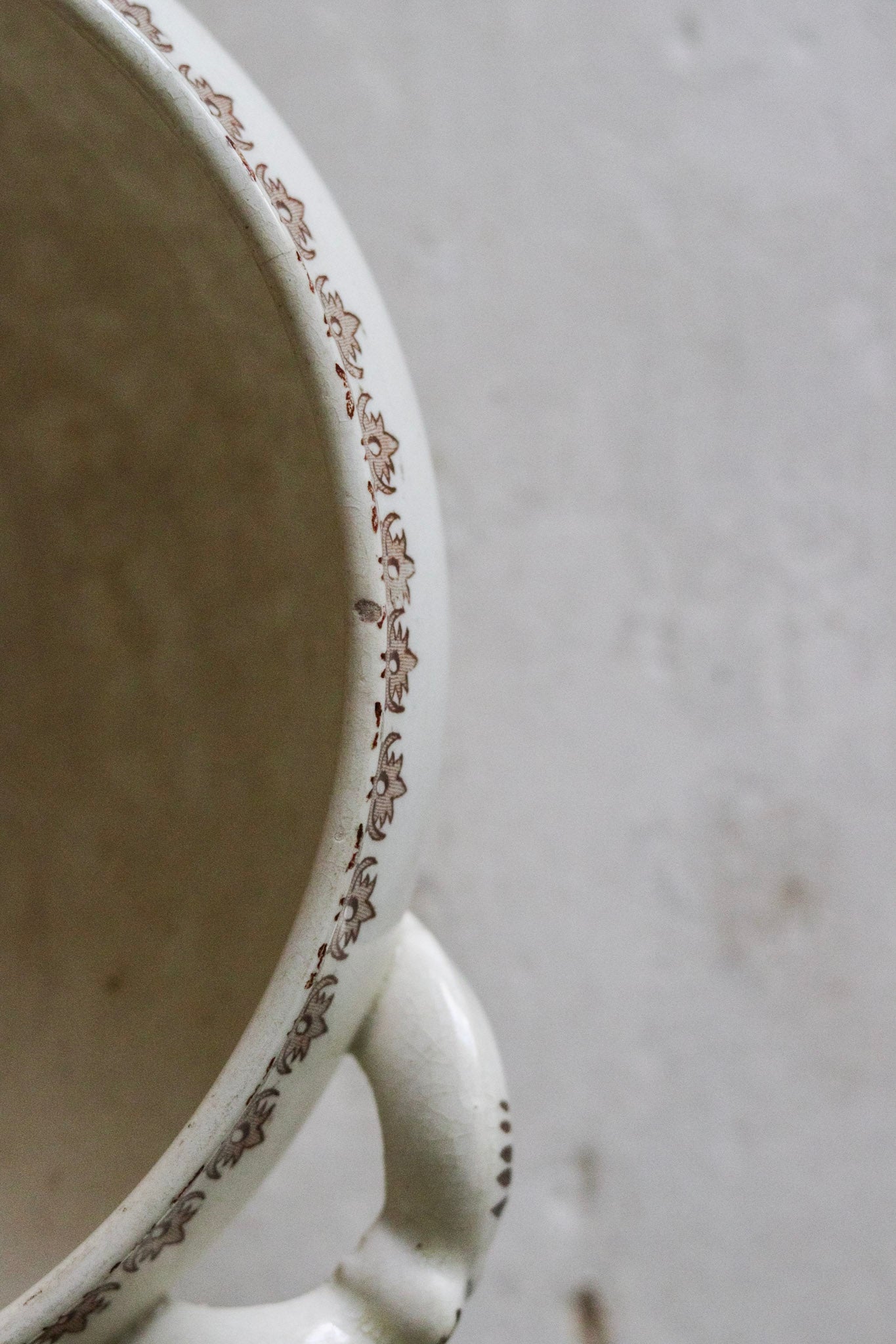Antique French Transferware Tureen with Birds