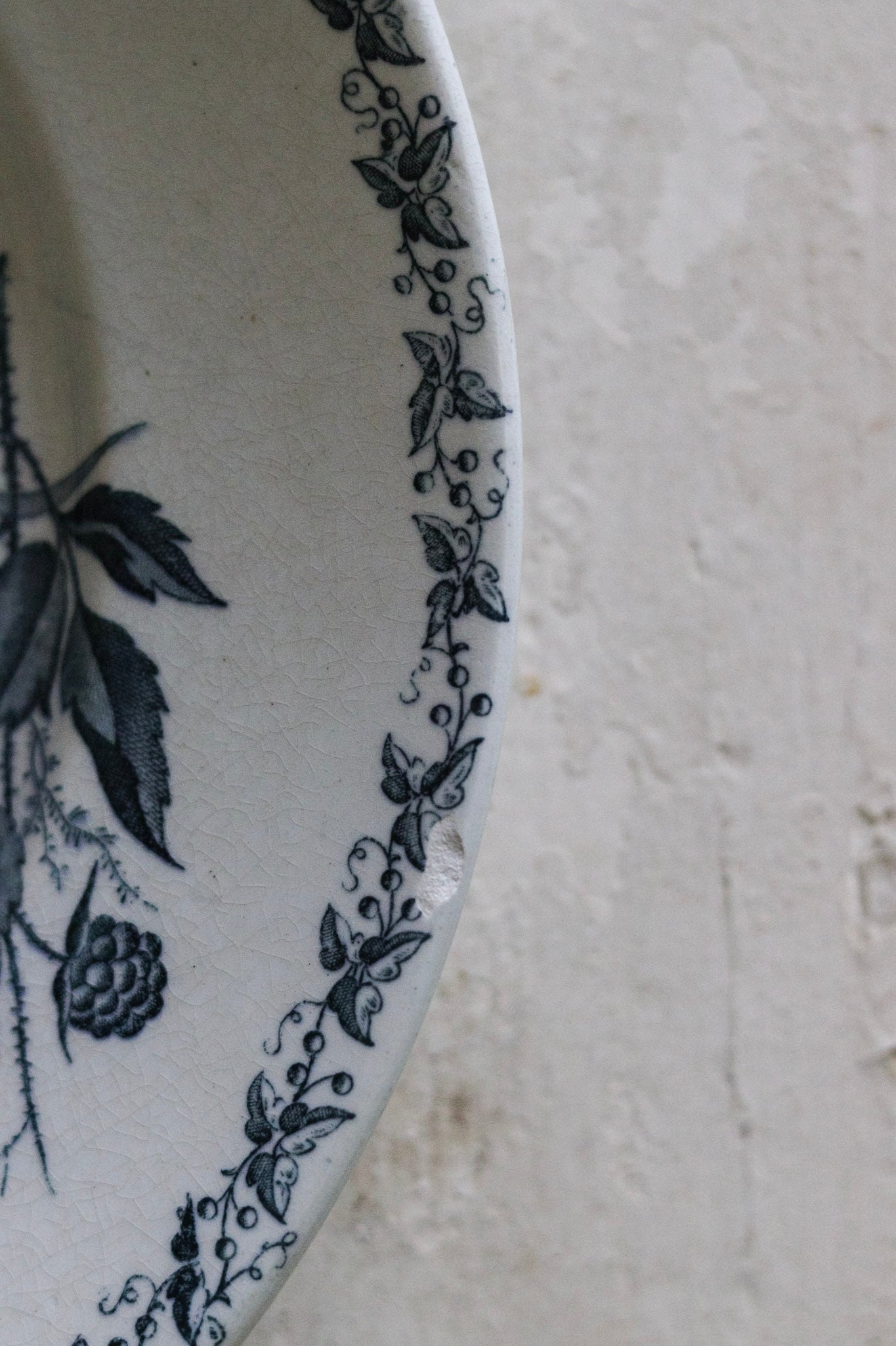 Antique French Transferware Plate with Blackberries