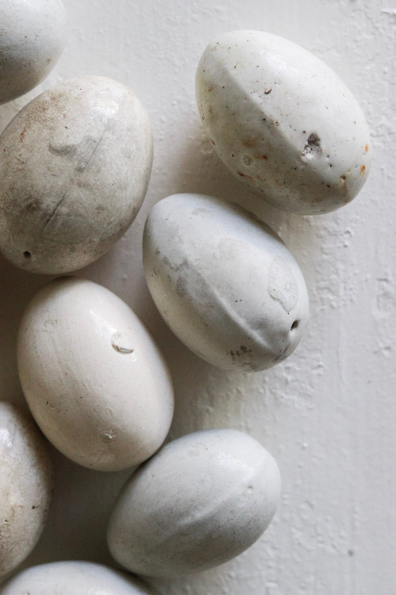 English Broody Hen Egg