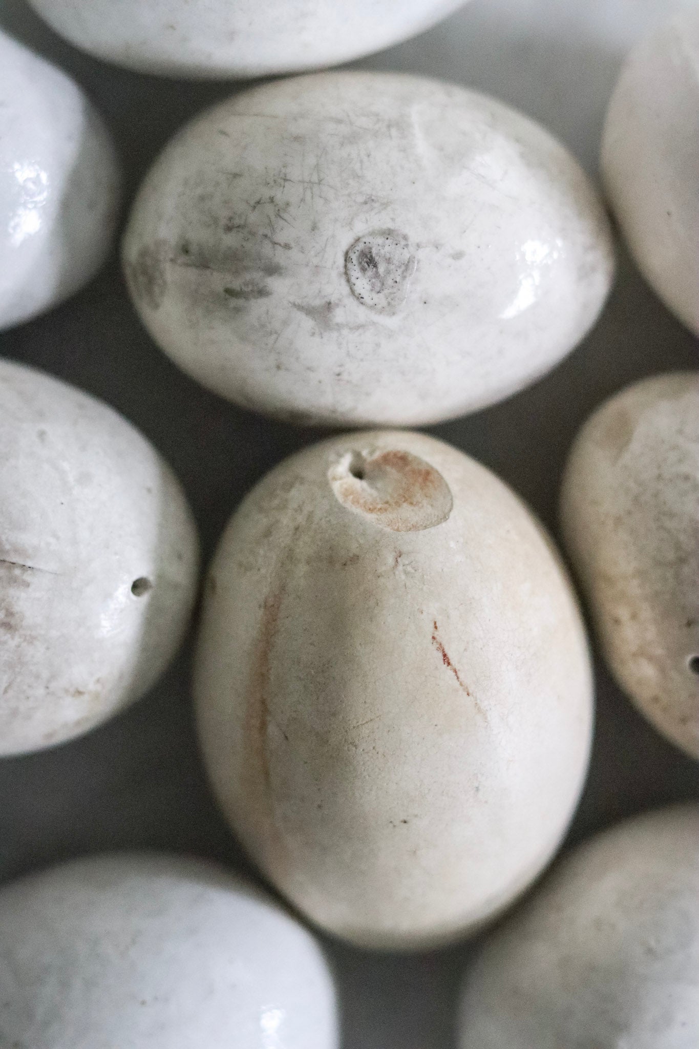 English Broody Hen Egg