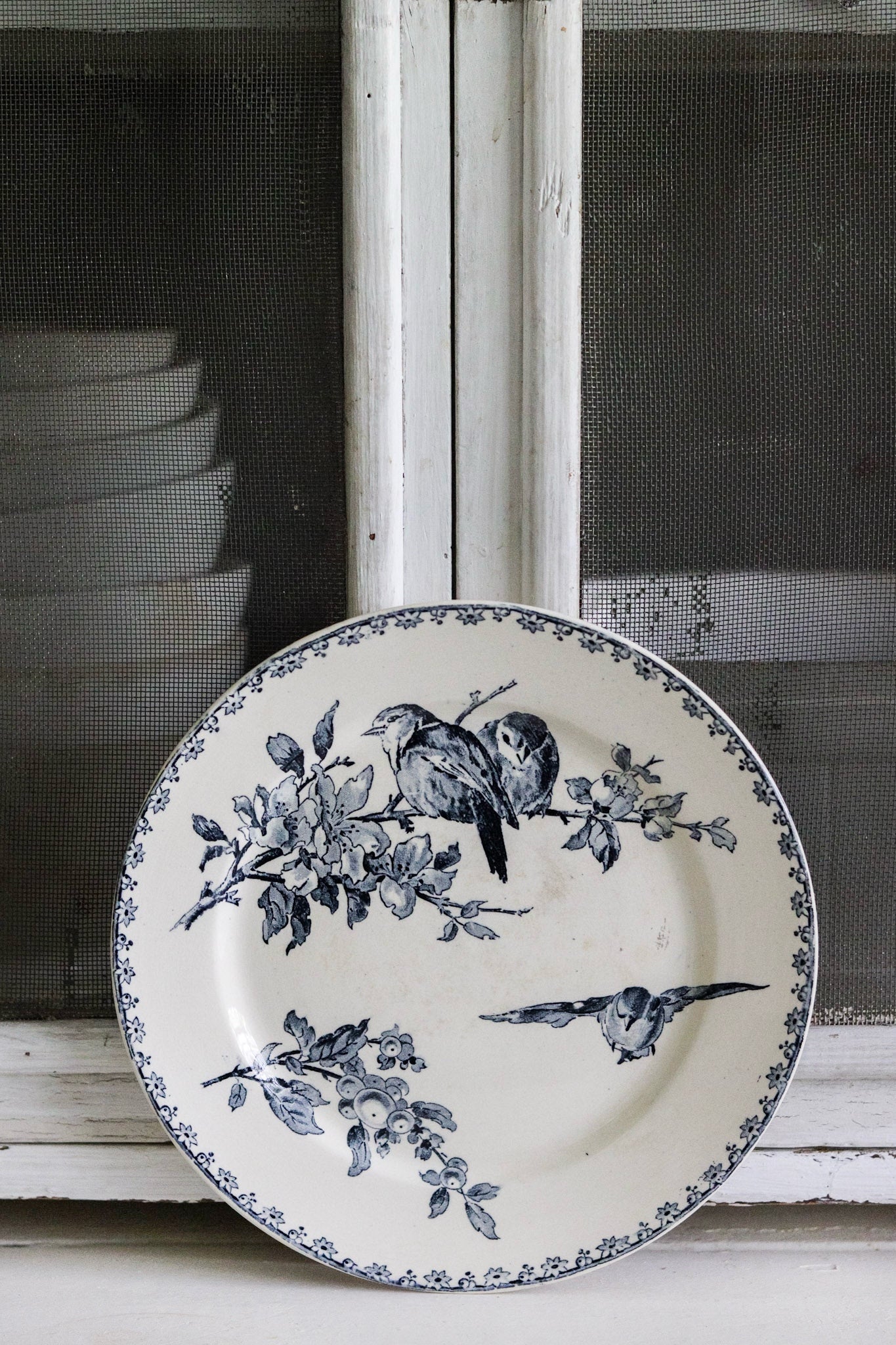 Antique French Transferware Plate with Birds