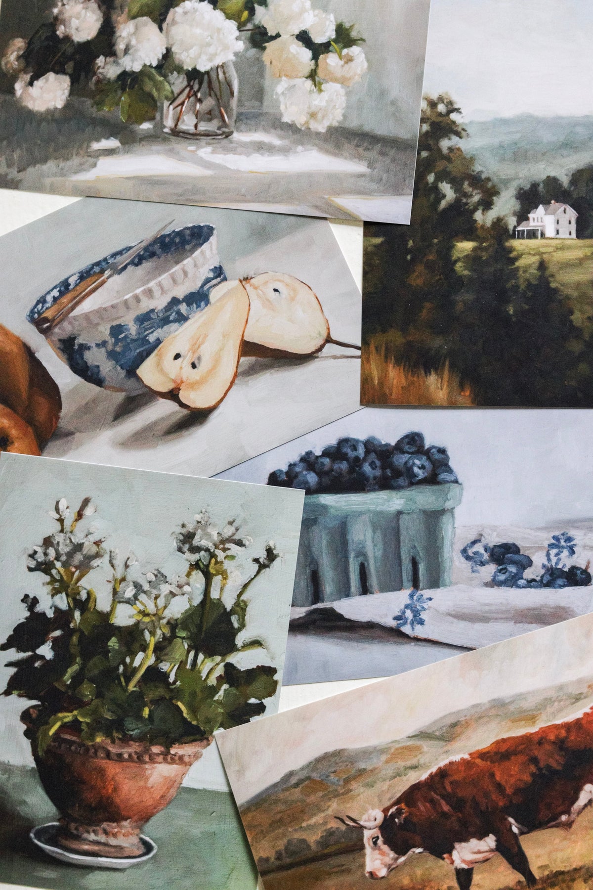 Fine Art Prints
