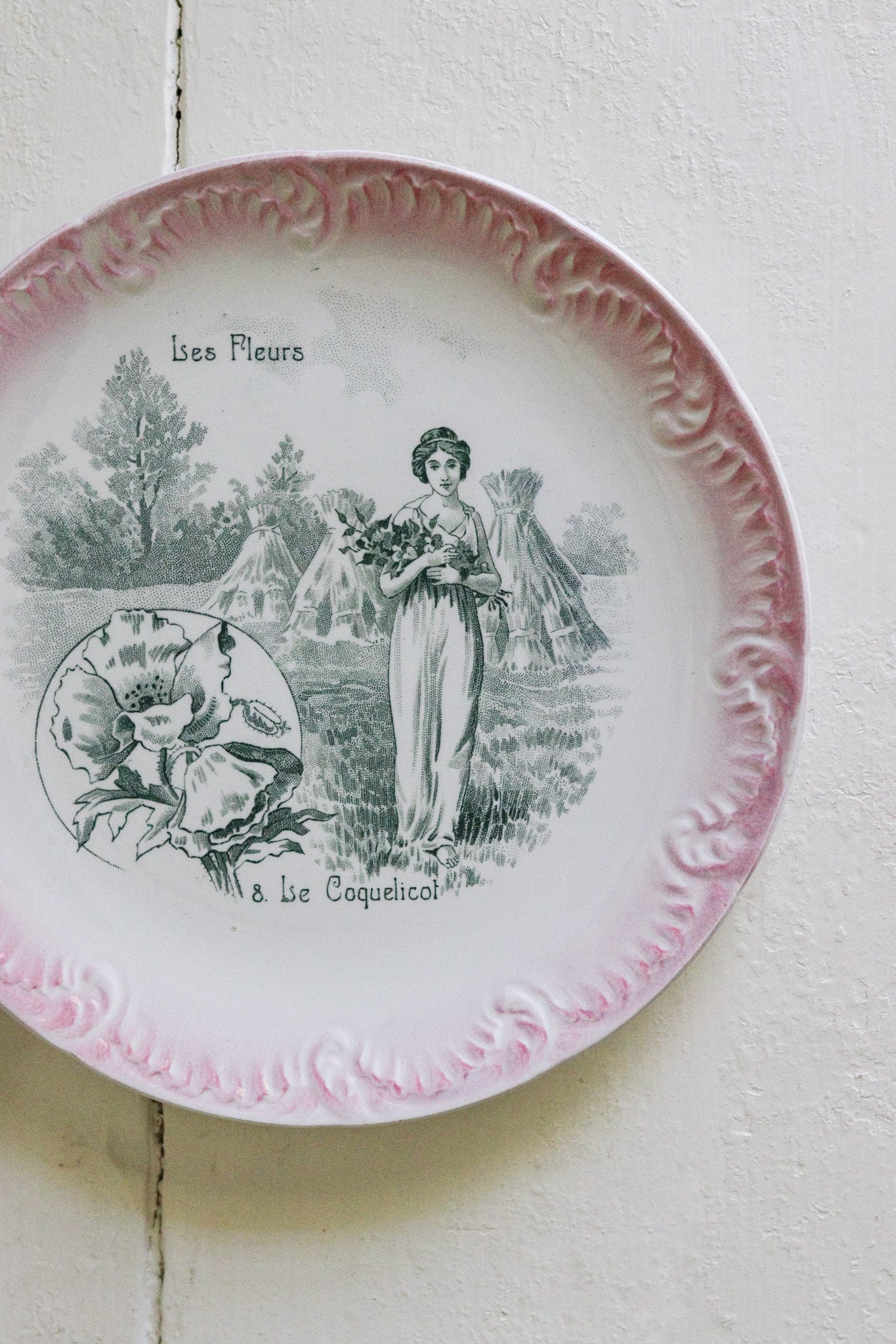 Antique French Transferware Plate - Le Coquelicot