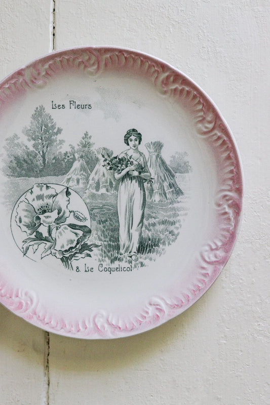 Antique French Transferware Plate - Le Coquelicot