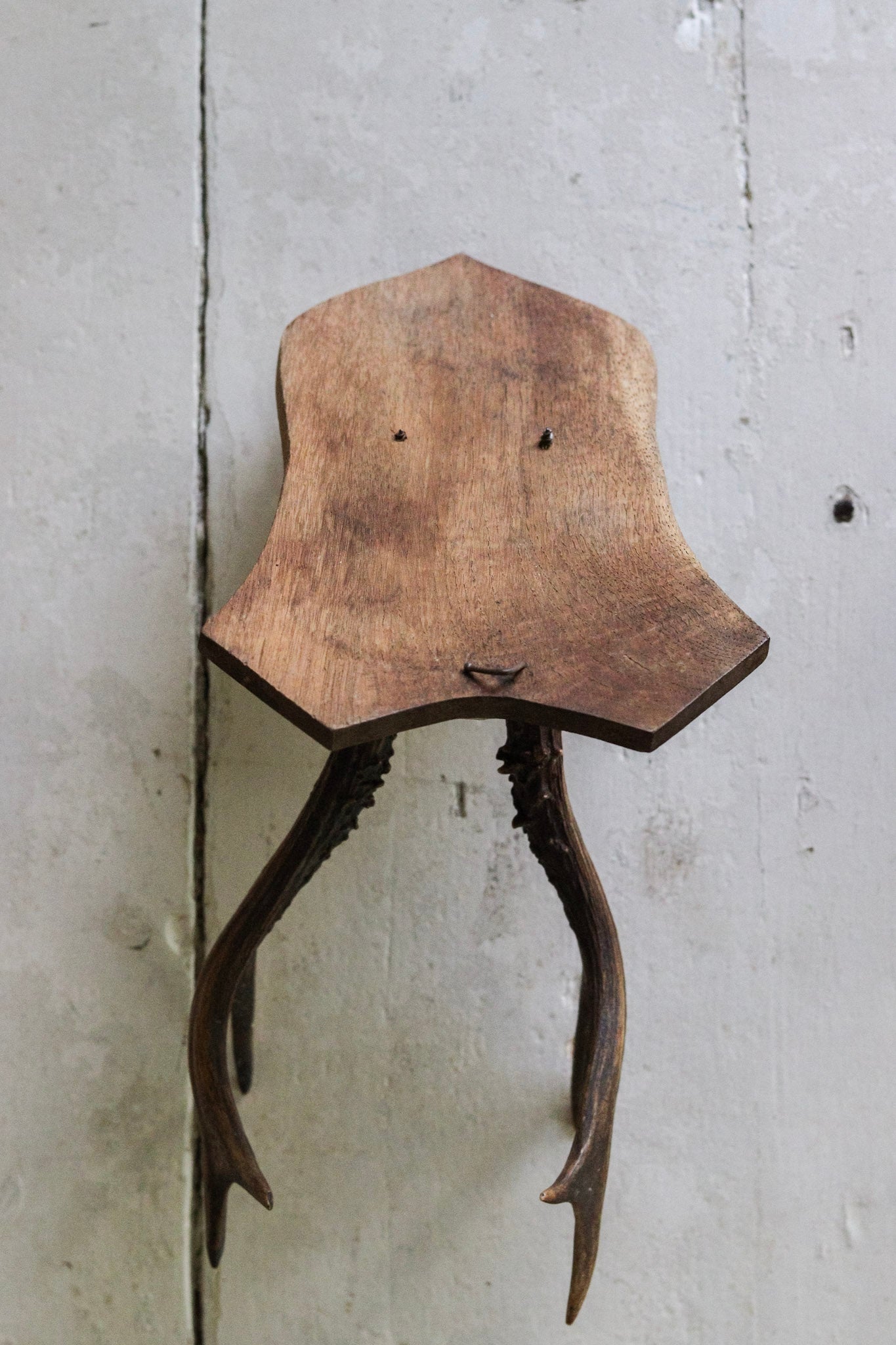 Petite Vintage European Antler Mount No.2