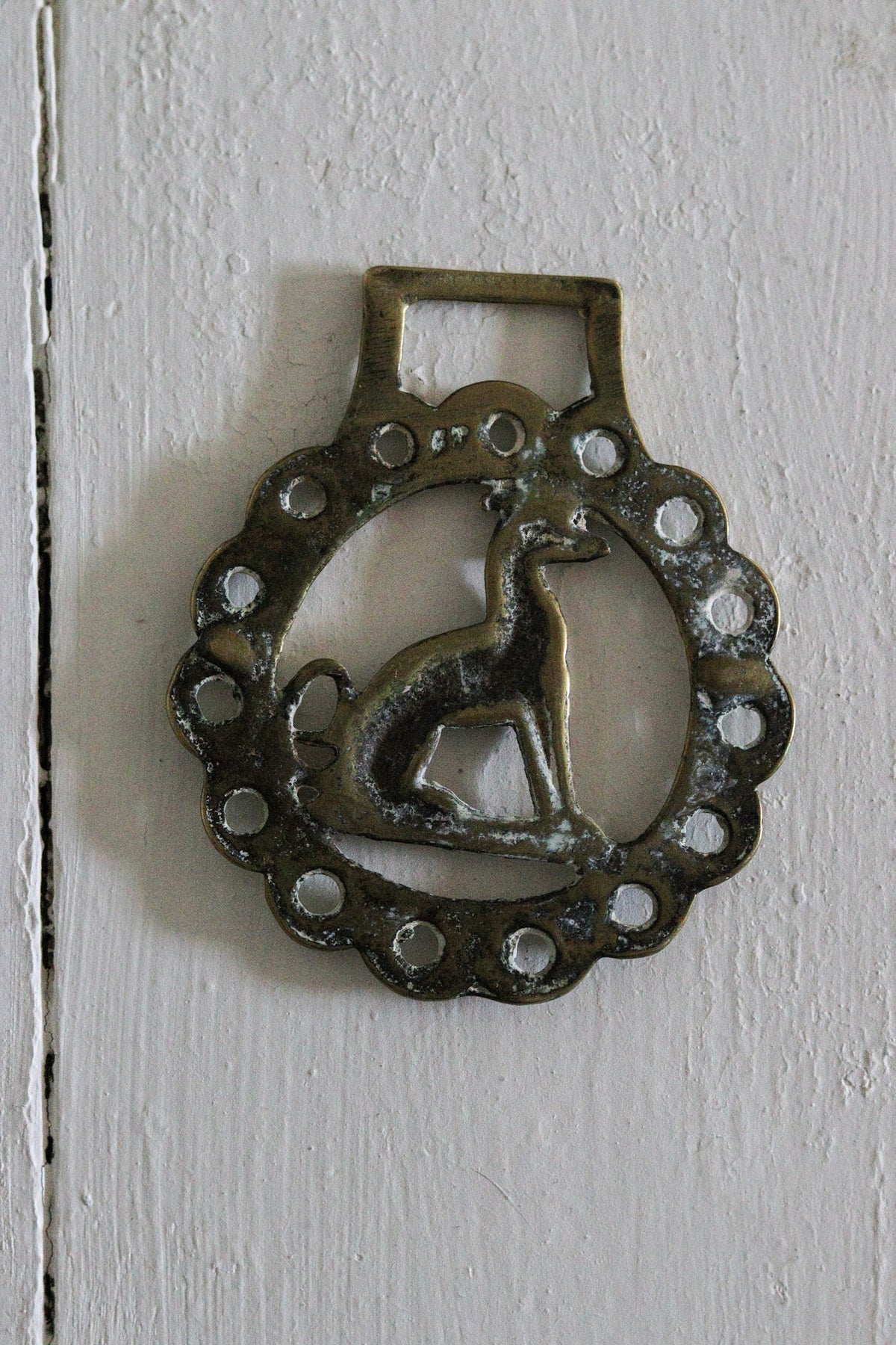 English Horse Brass - Greyhound