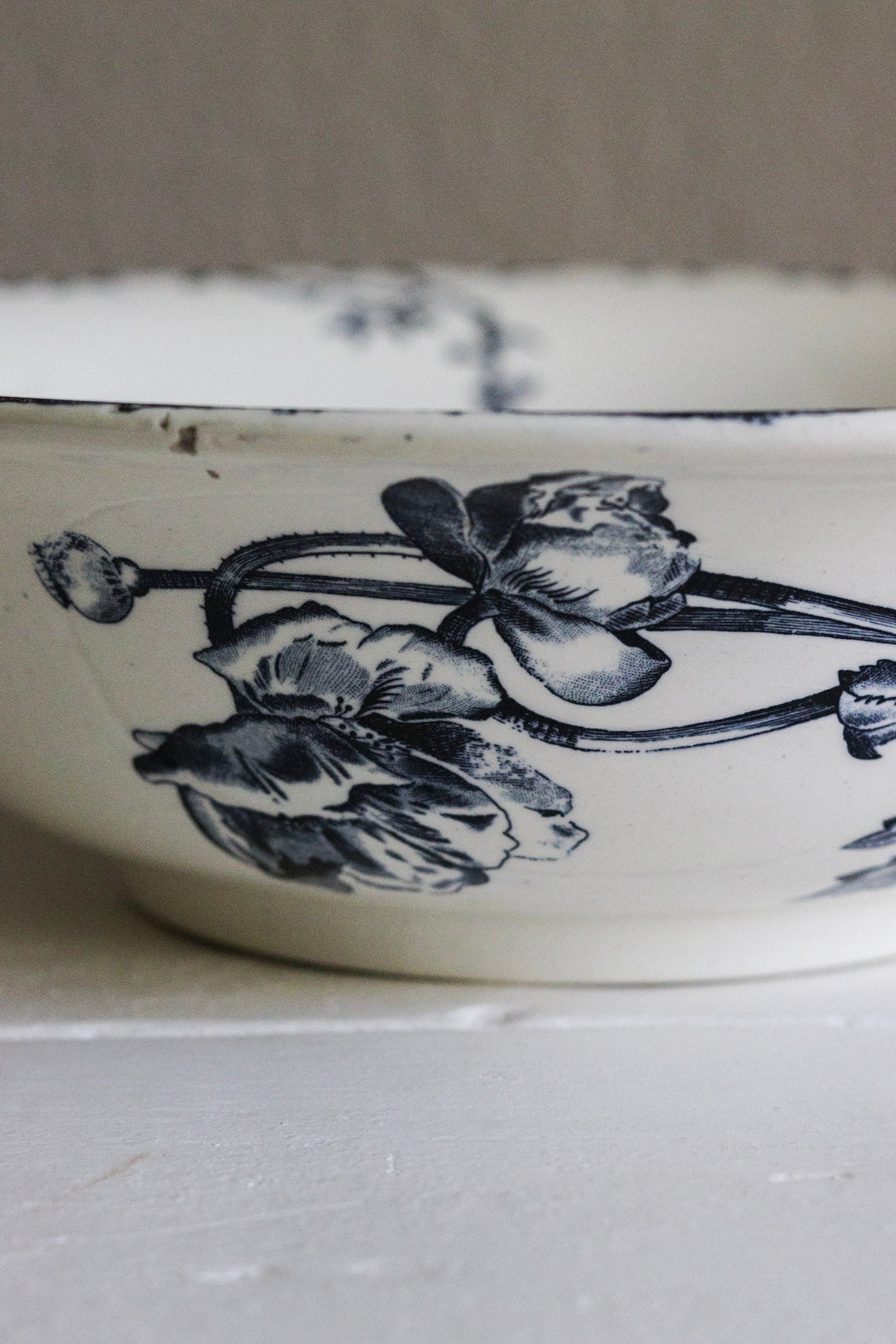 Extra Large Antique French Transferware Bowl With Birds & Flowers