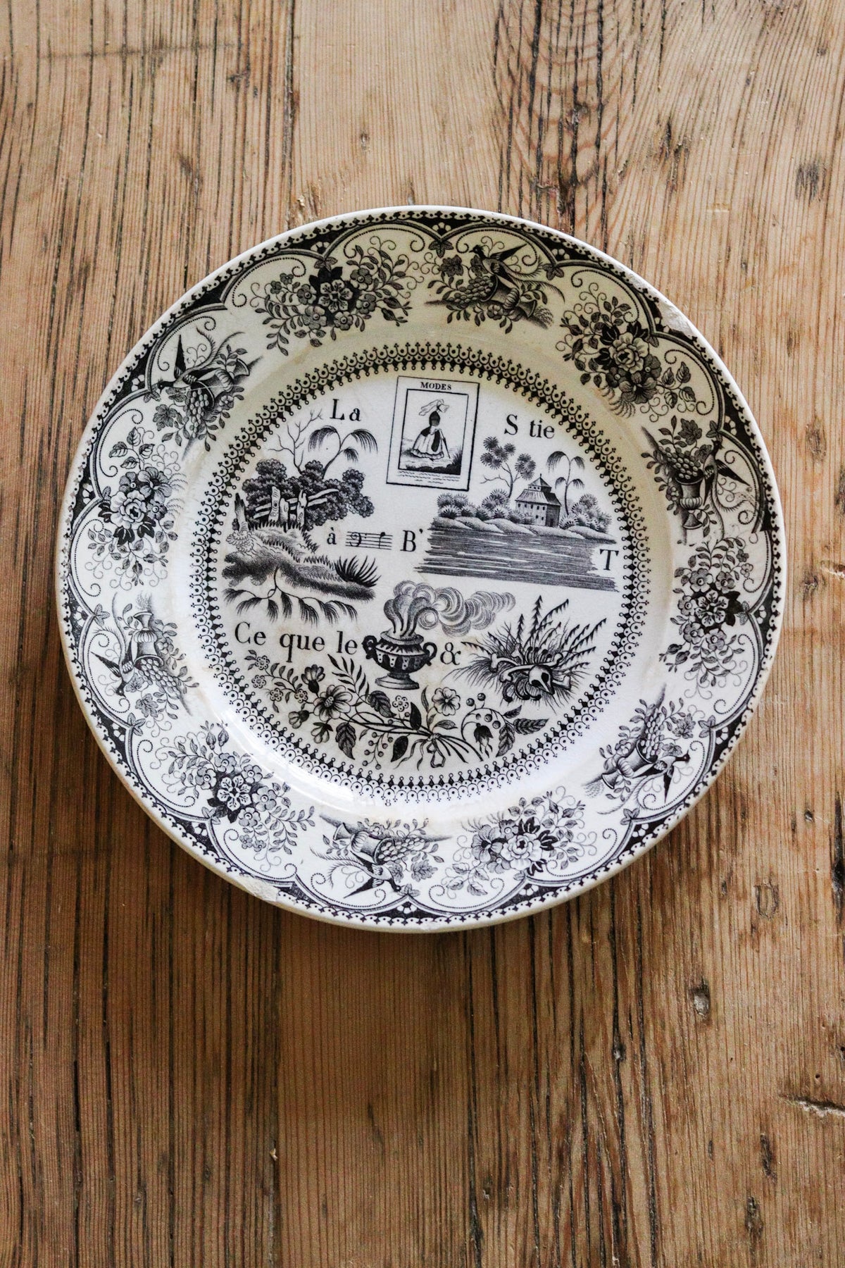 Antique French Transferware Plate