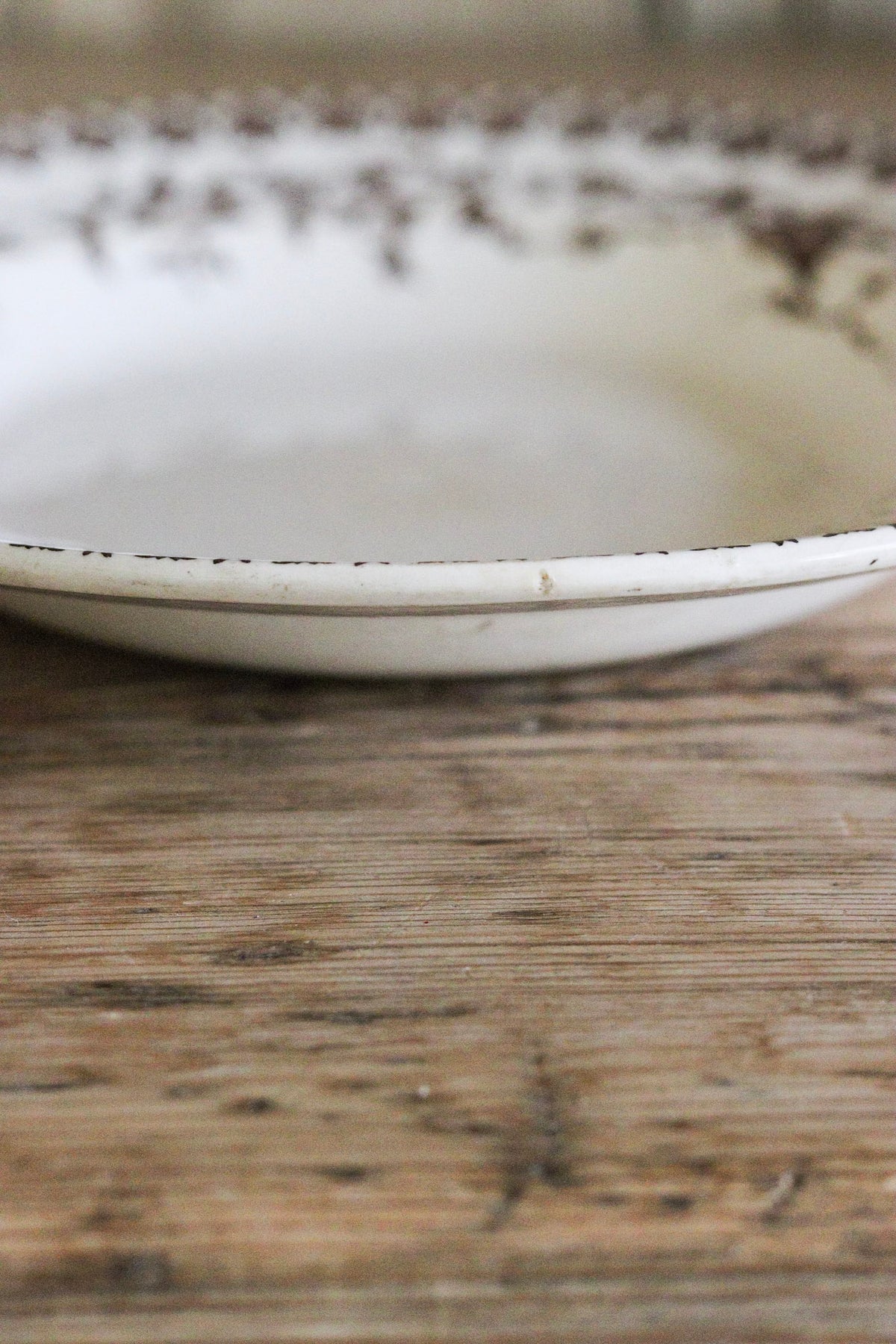 Antique French Transferware Shallow Bowl with Birds