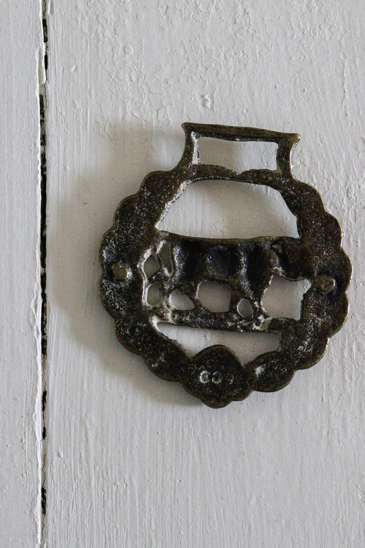 English Horse Brass - Bull