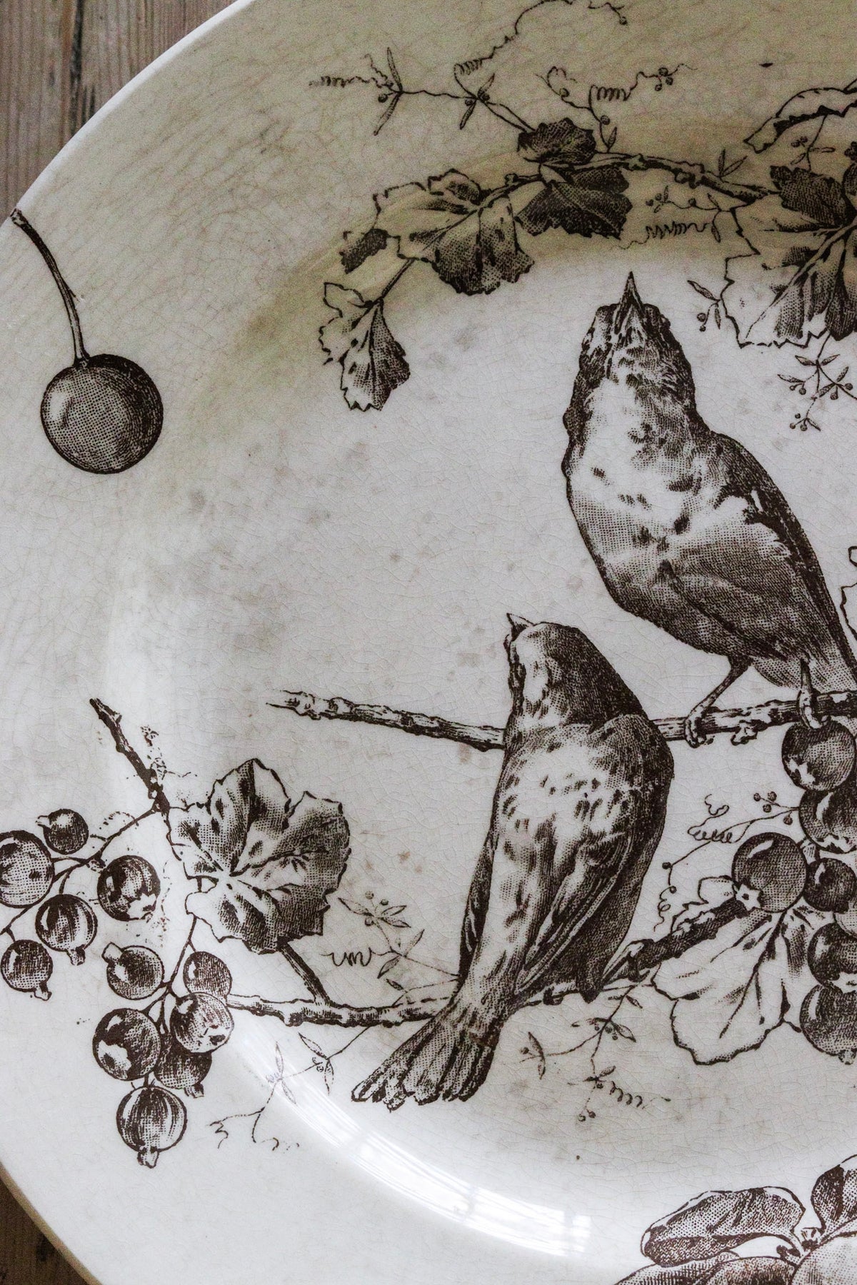 Stunning Large Antique French Transferware Plate with Birds