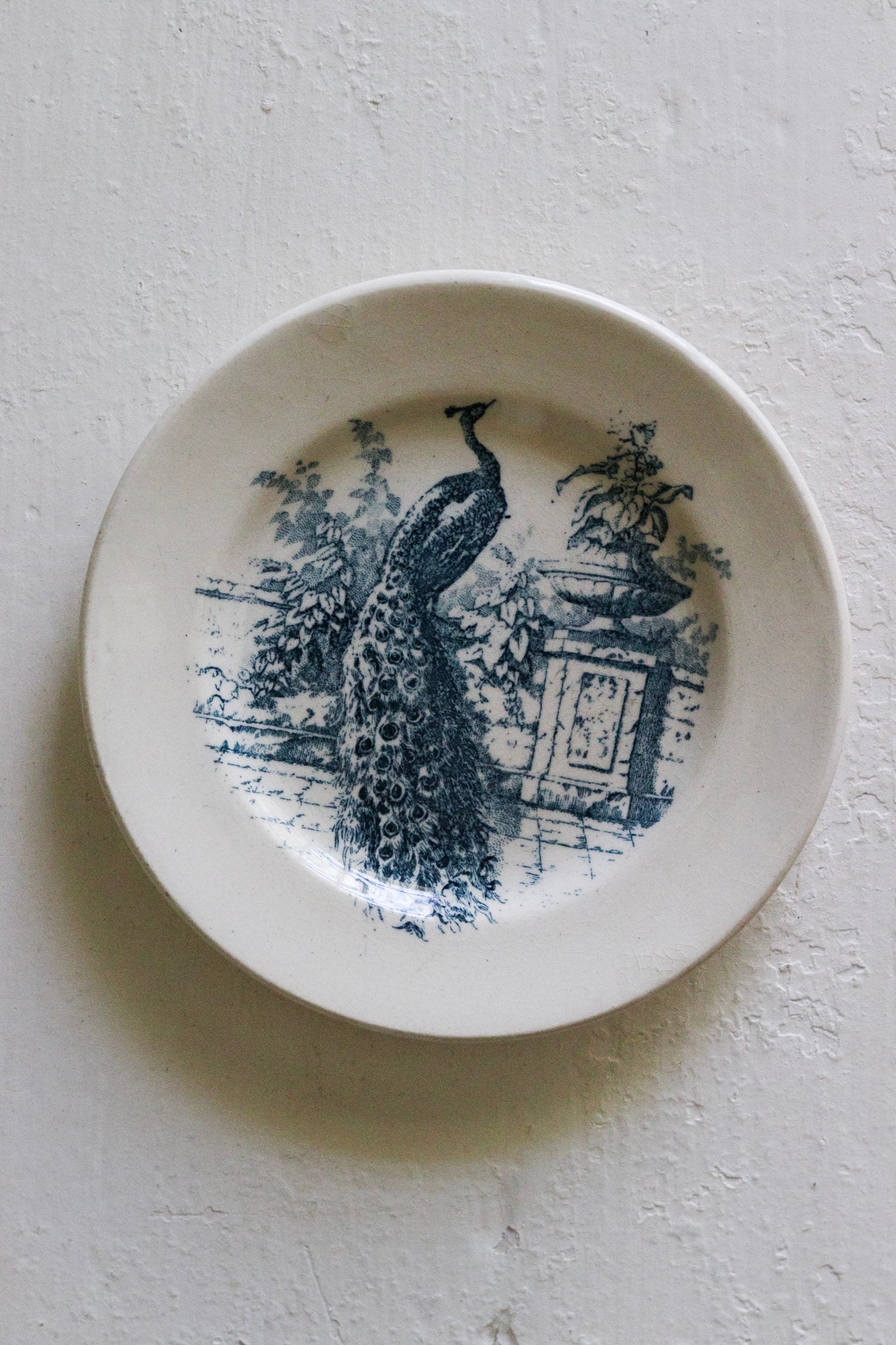 Antique French Transferware Child's Dînette Plate with Peacock