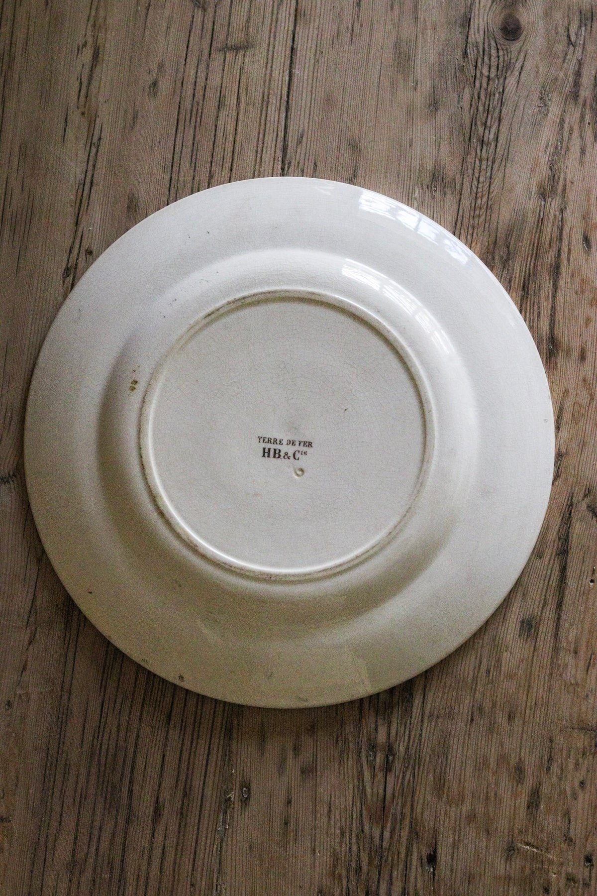 Stunning Large Antique French Transferware Plate with Birds