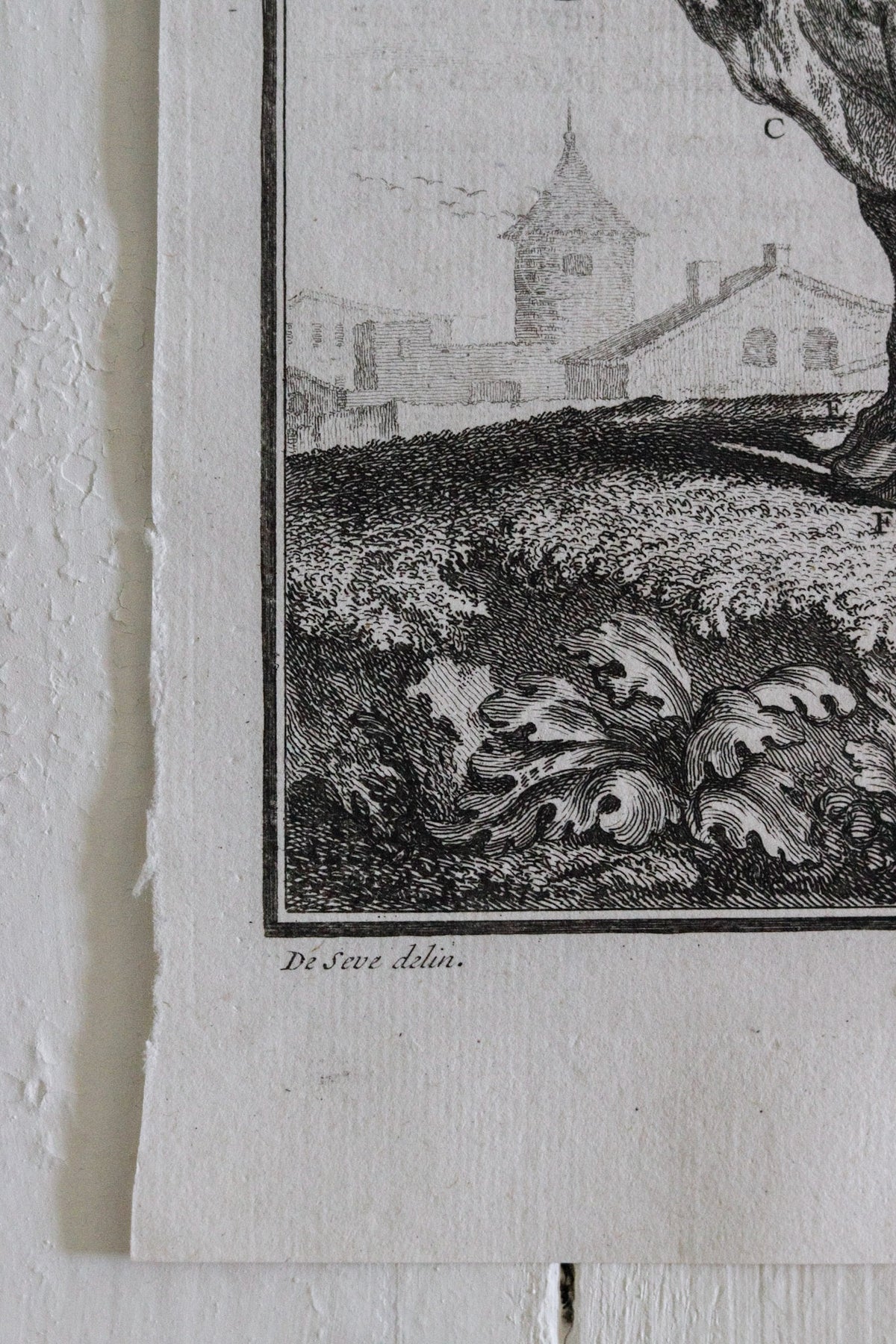 Antique Cow Engraving c.1775