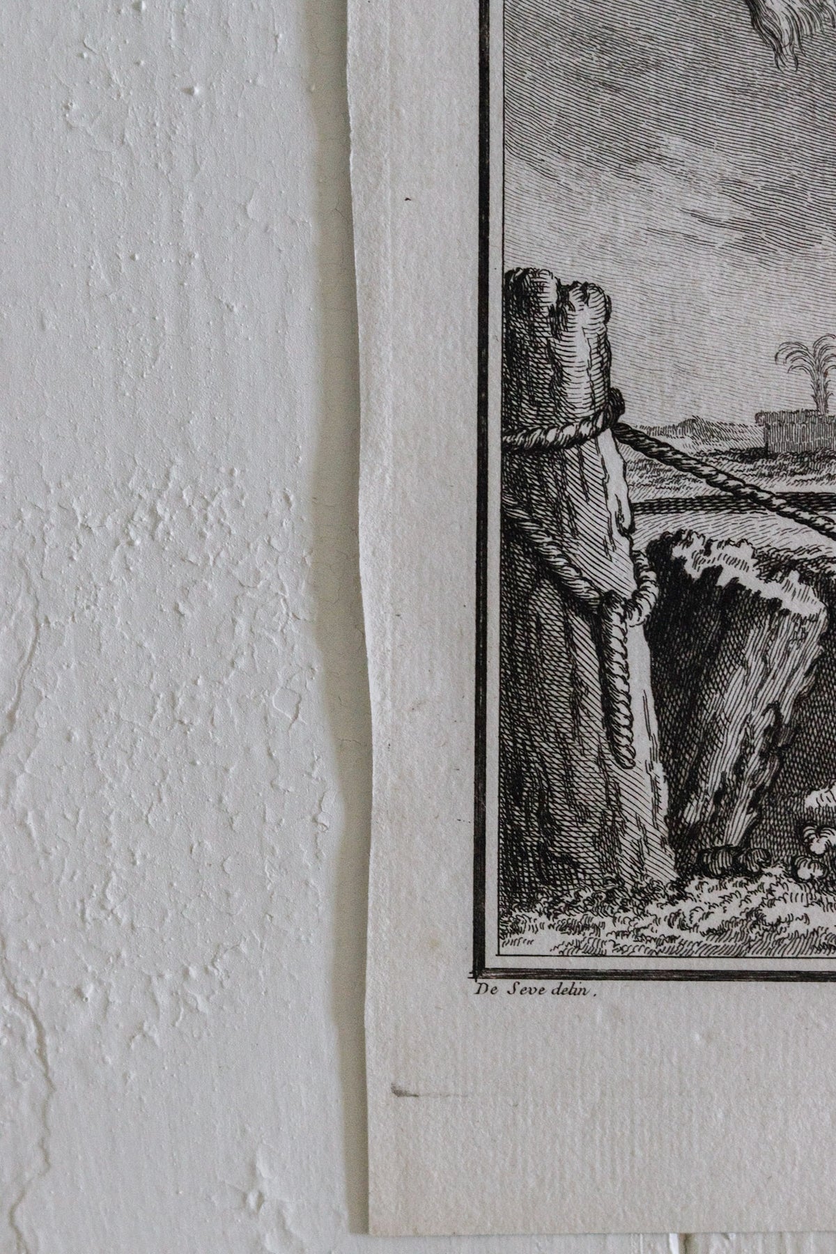 Antique Goat Engraving c.1775