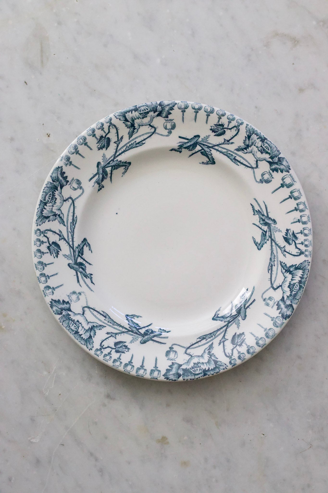 Antique French Transferware Plate with Poppies