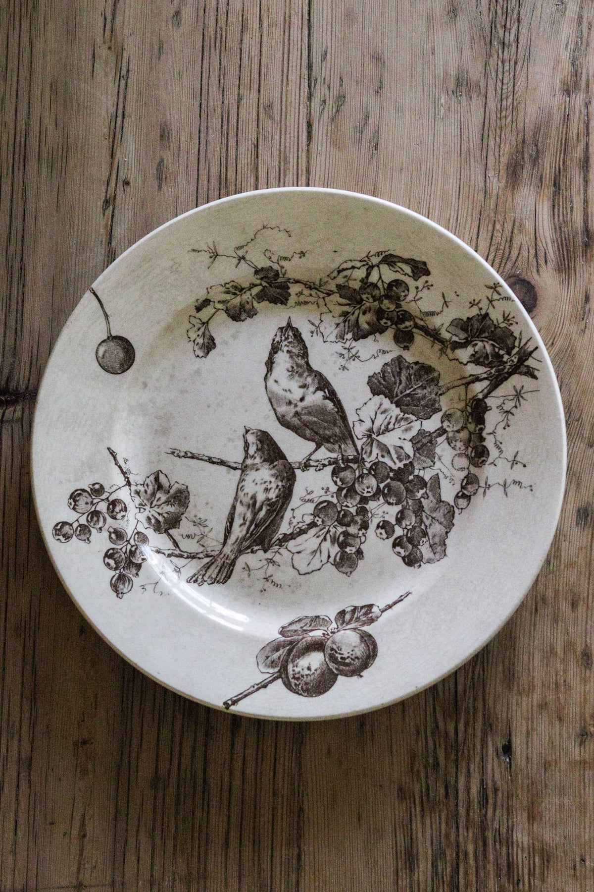 Stunning Large Antique French Transferware Plate with Birds