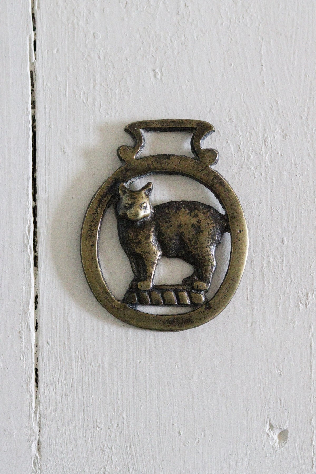 English Horse Brass - Cat