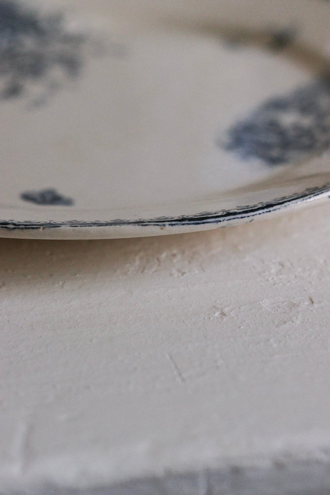Antique French Transferware Plate with Flowers and Butterflies and Dragonflies No.1