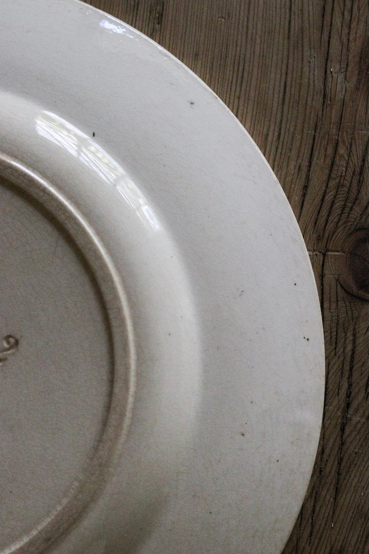 Large Antique French Transferware Plate with Birds