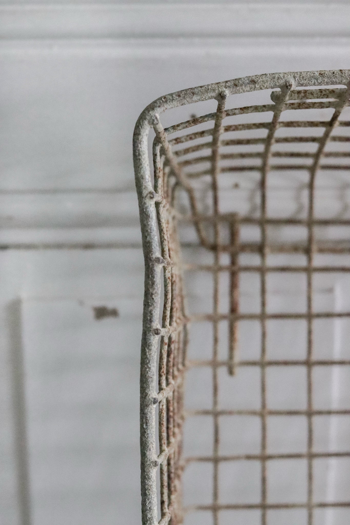 Vintage French Oyster Basket