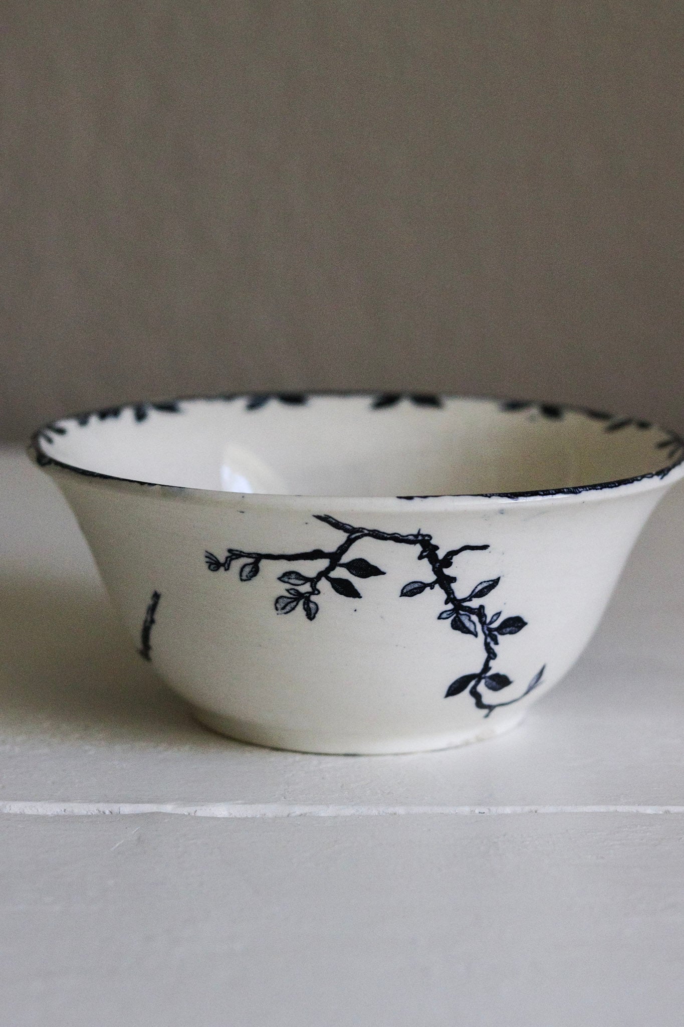 Antique French Transferware Bowl with Birds