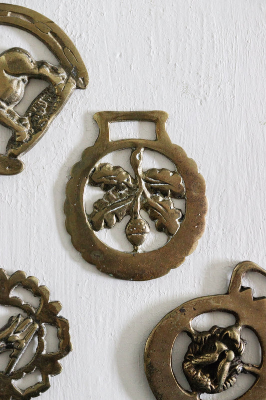 English Horse Brass - Oak Leaves + Acorn