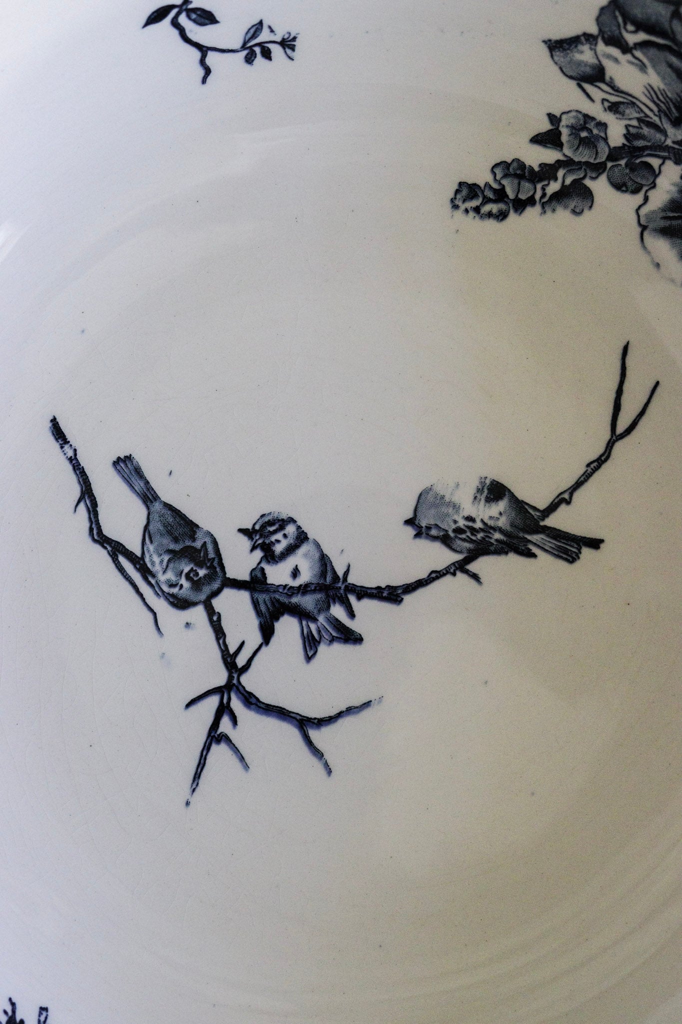 Extra Large Antique French Transferware Bowl With Birds & Flowers