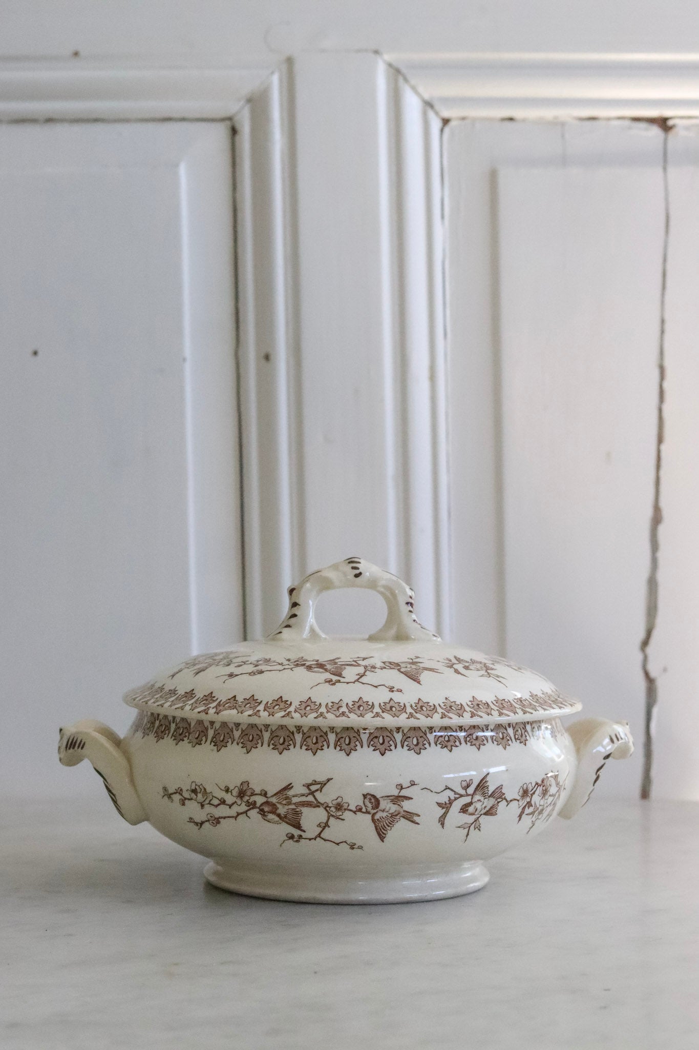 Antique French Transferware Tureen with Birds