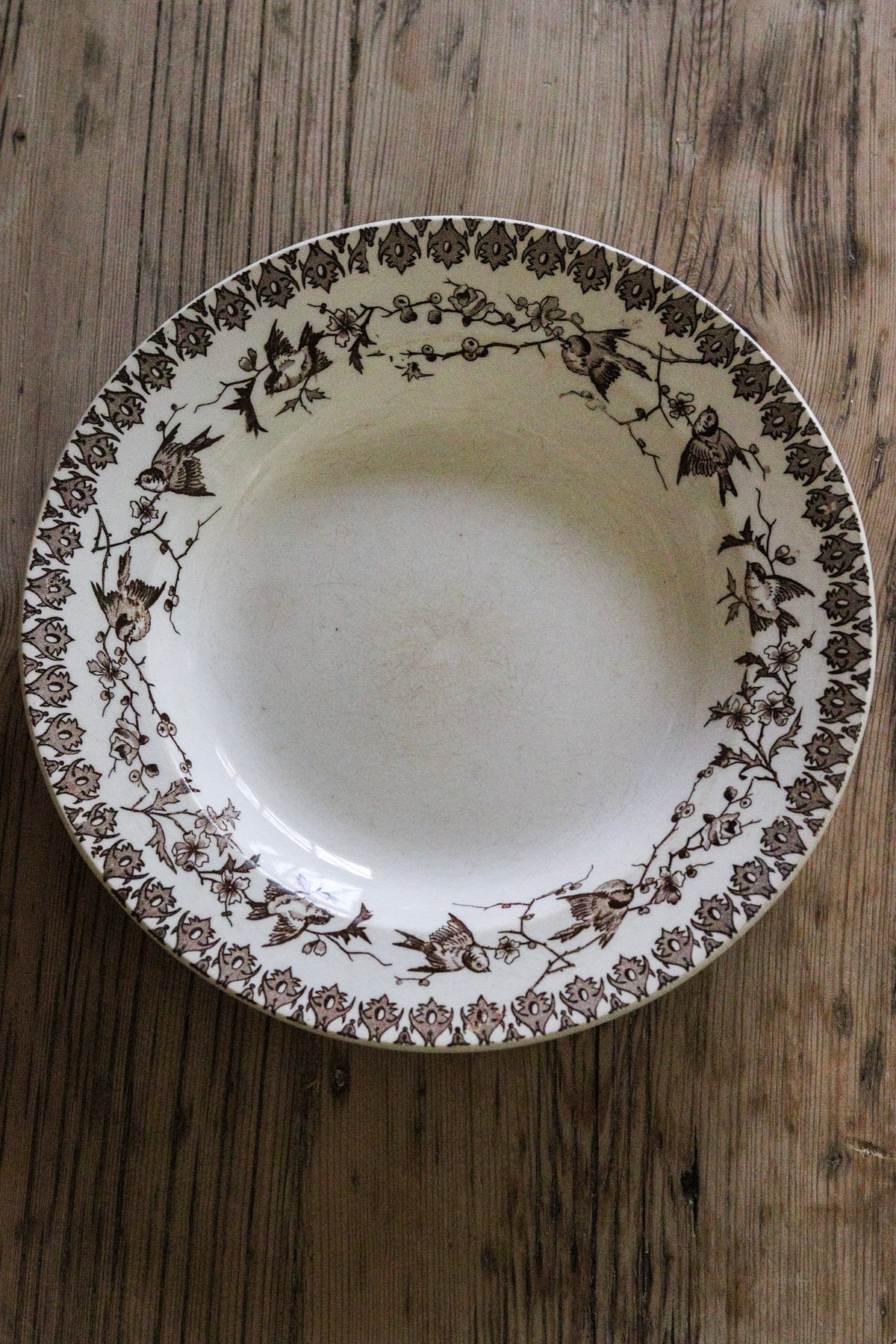 Antique French Transferware Shallow Bowl with Birds