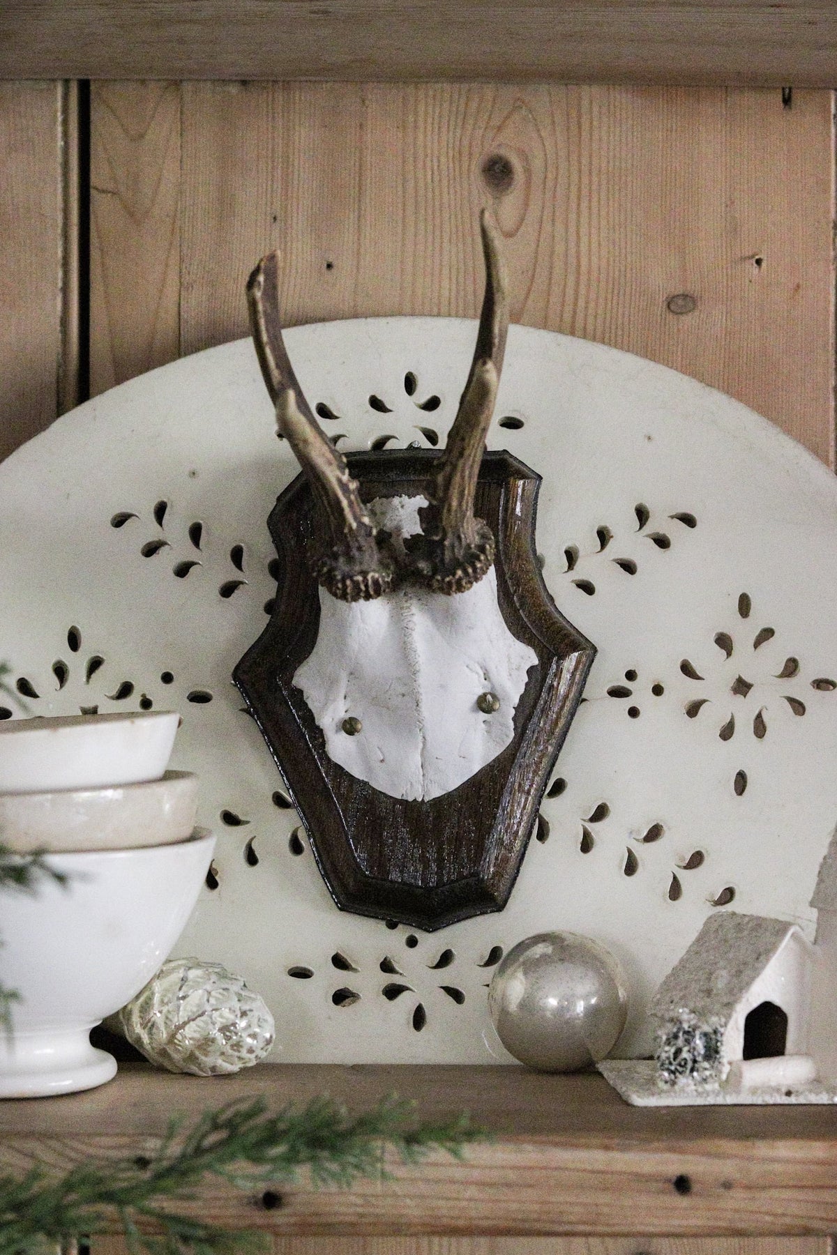 Petite Vintage European Antler Mount