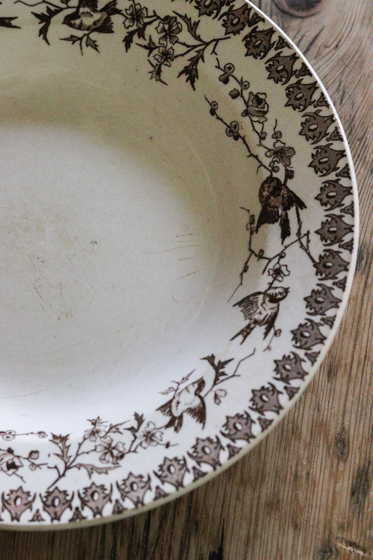 Antique French Transferware Shallow Bowl with Birds