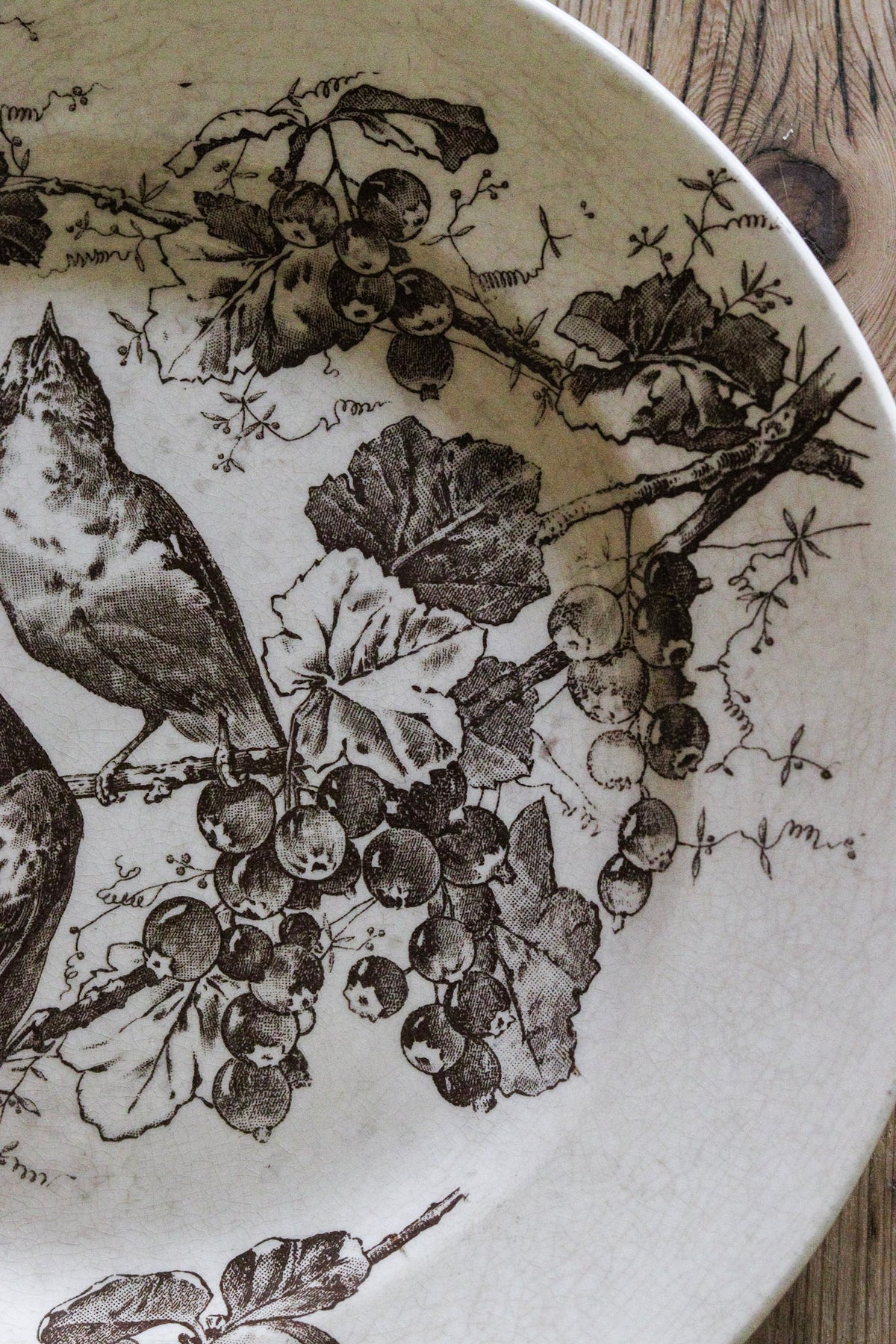 Stunning Large Antique French Transferware Plate with Birds