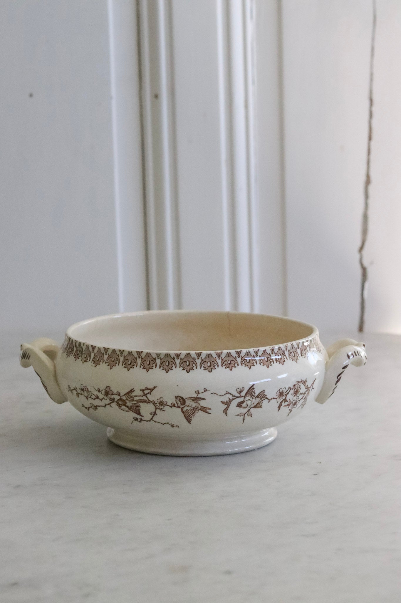 Antique French Transferware Tureen with Birds