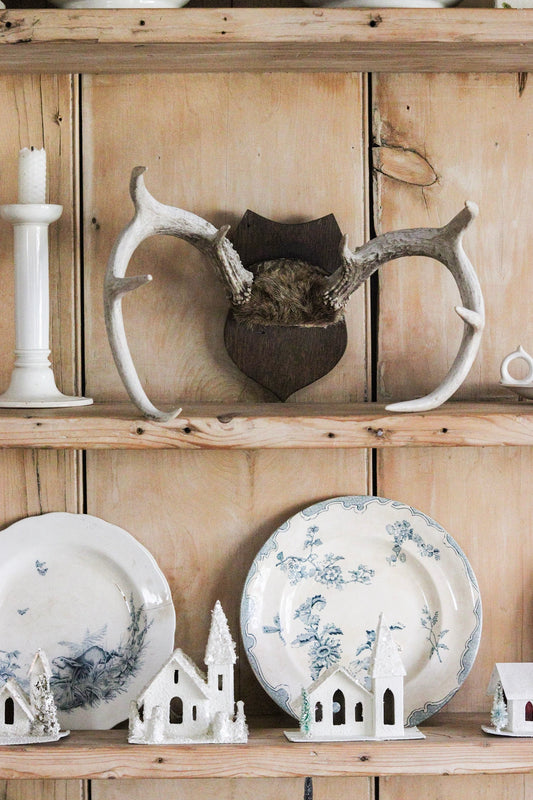 Vintage Antler Mount