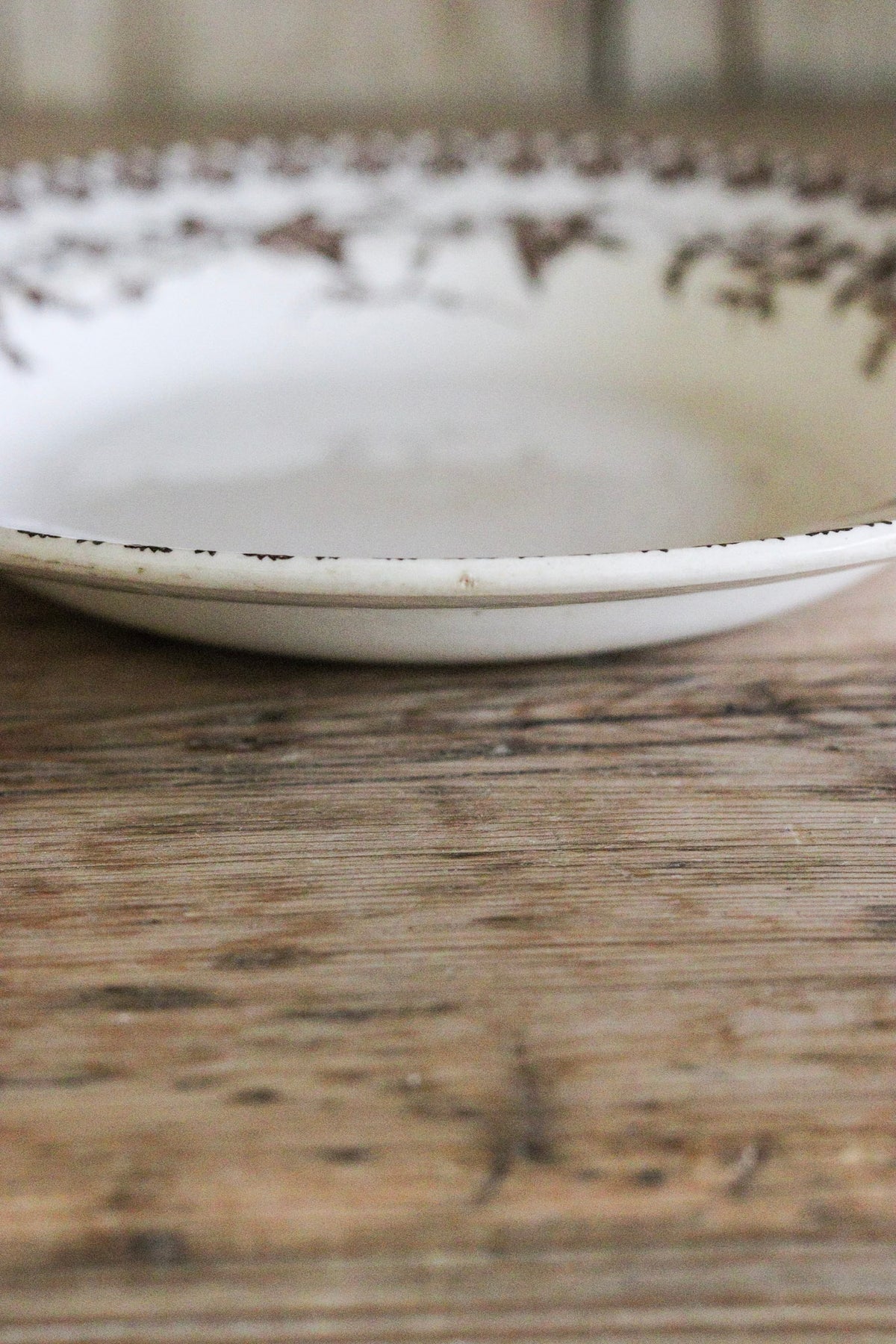 Antique French Transferware Shallow Bowl with Birds
