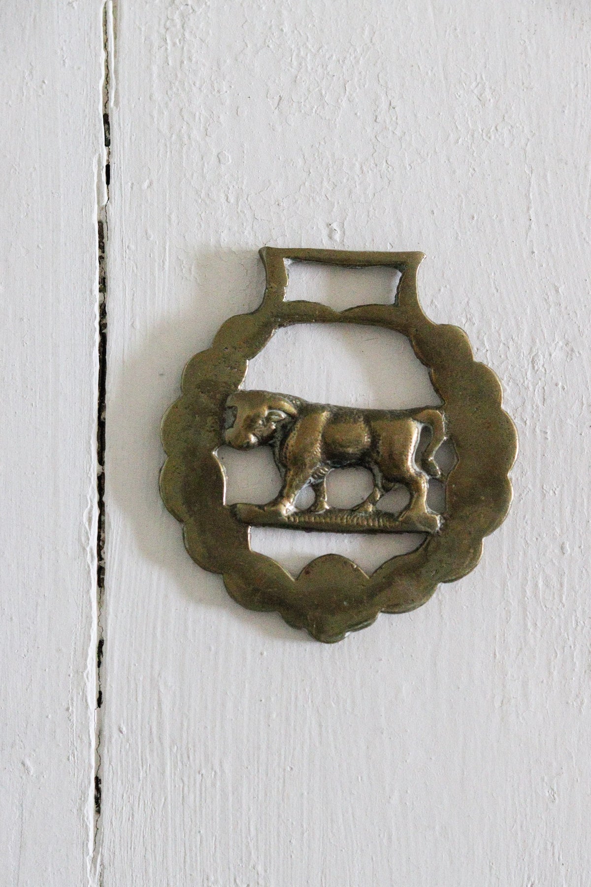 English Horse Brass - Bull