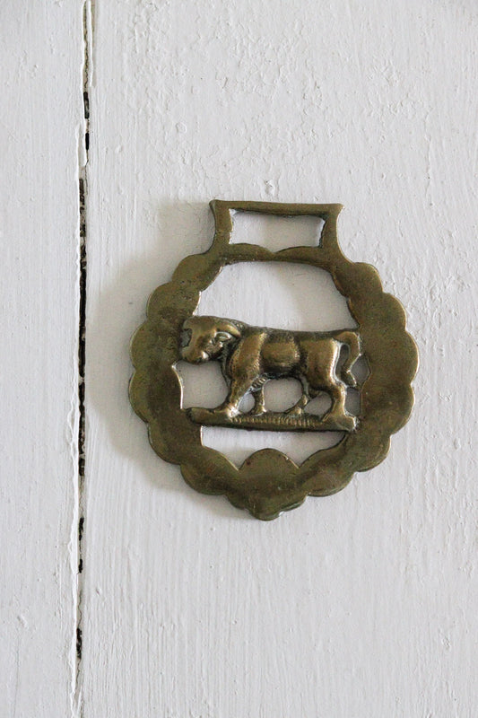 English Horse Brass - Bull